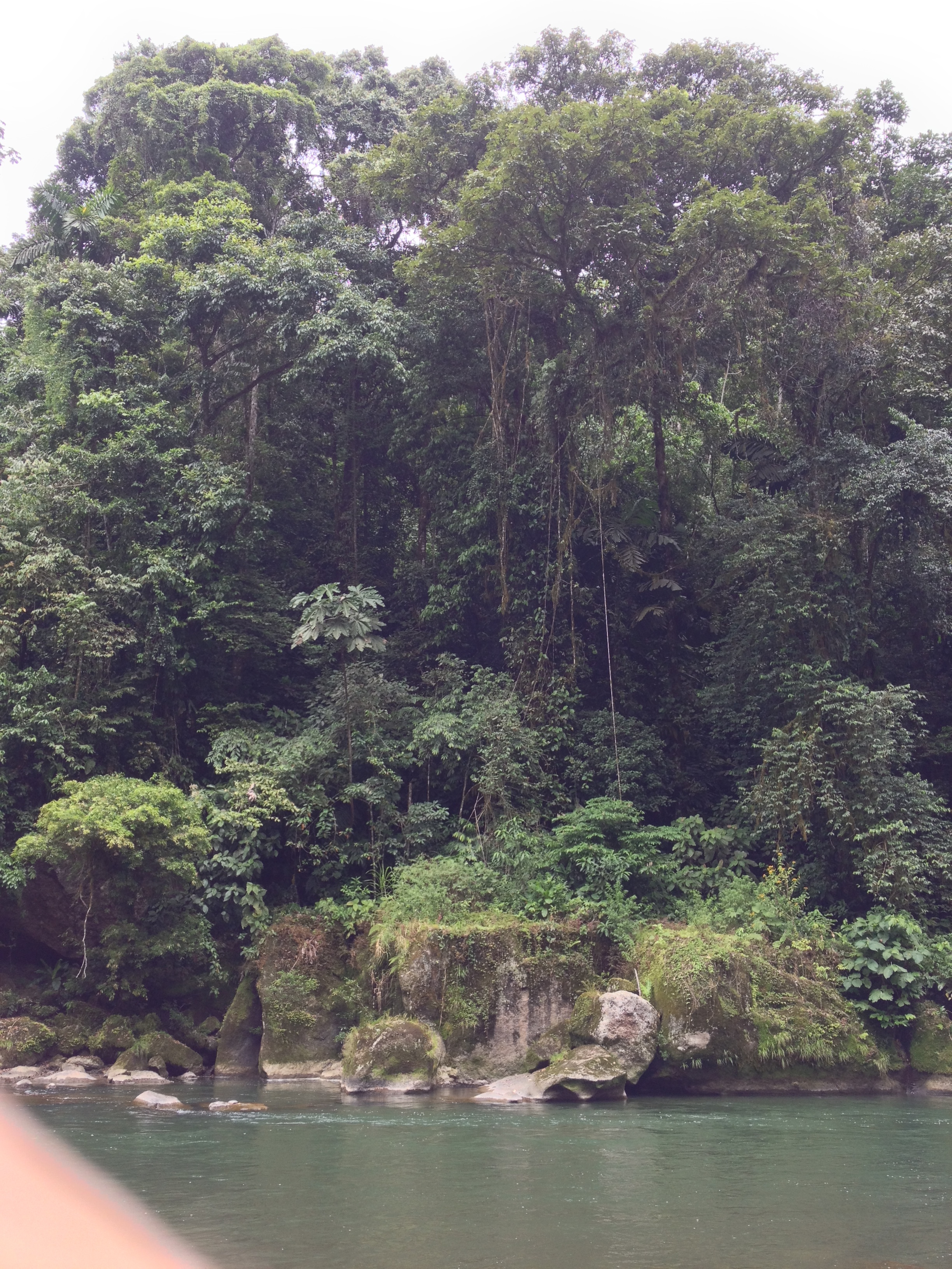 Picture Costa Rica Pacuare River 2015-03 45 - Around Pacuare River