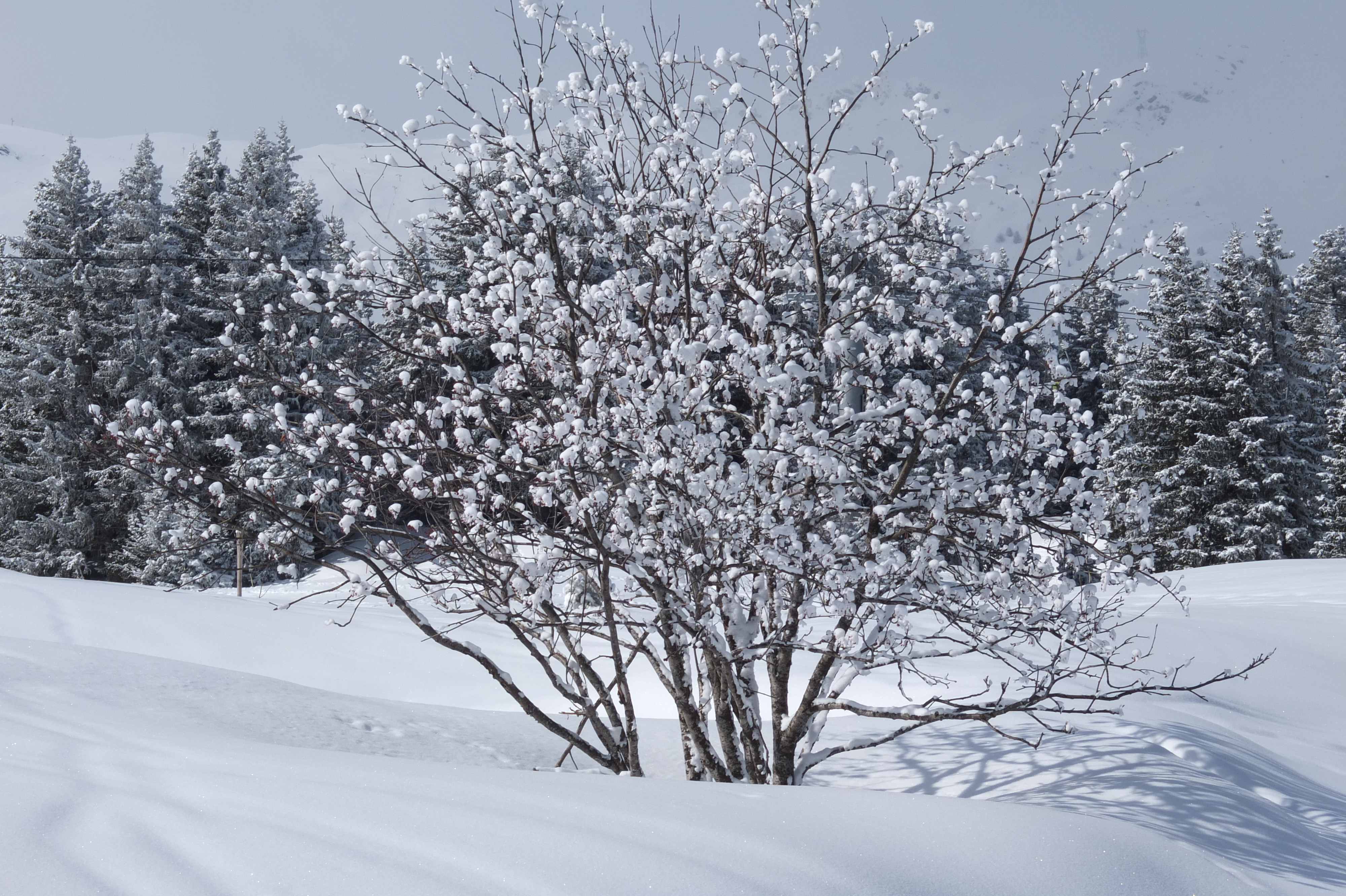 Picture France Les 3 Vallees 2013-03 388 - Tours Les 3 Vallees