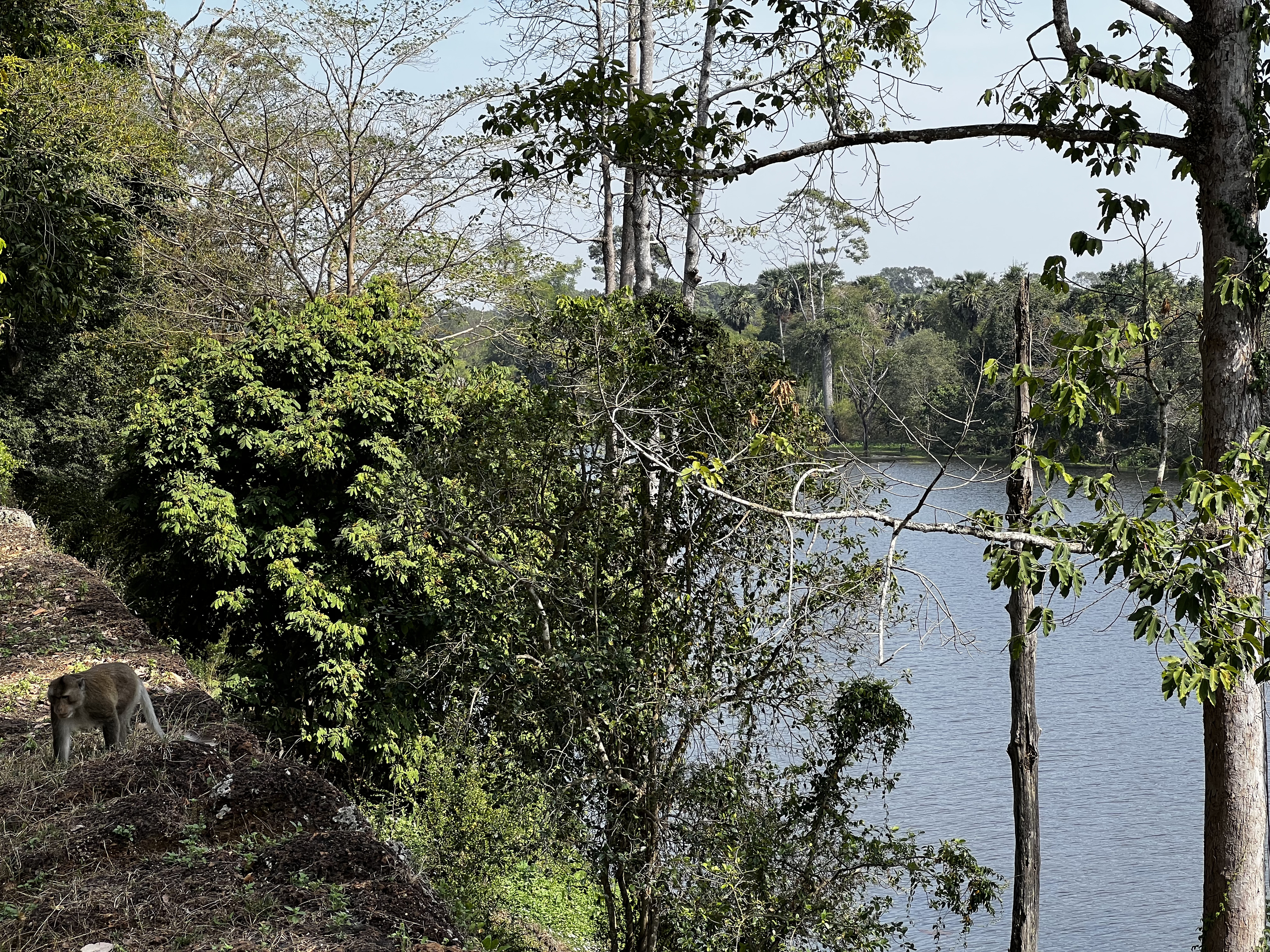 Picture Cambodia Siem Reap Angkor Thom 2023-01 12 - Tour Angkor Thom