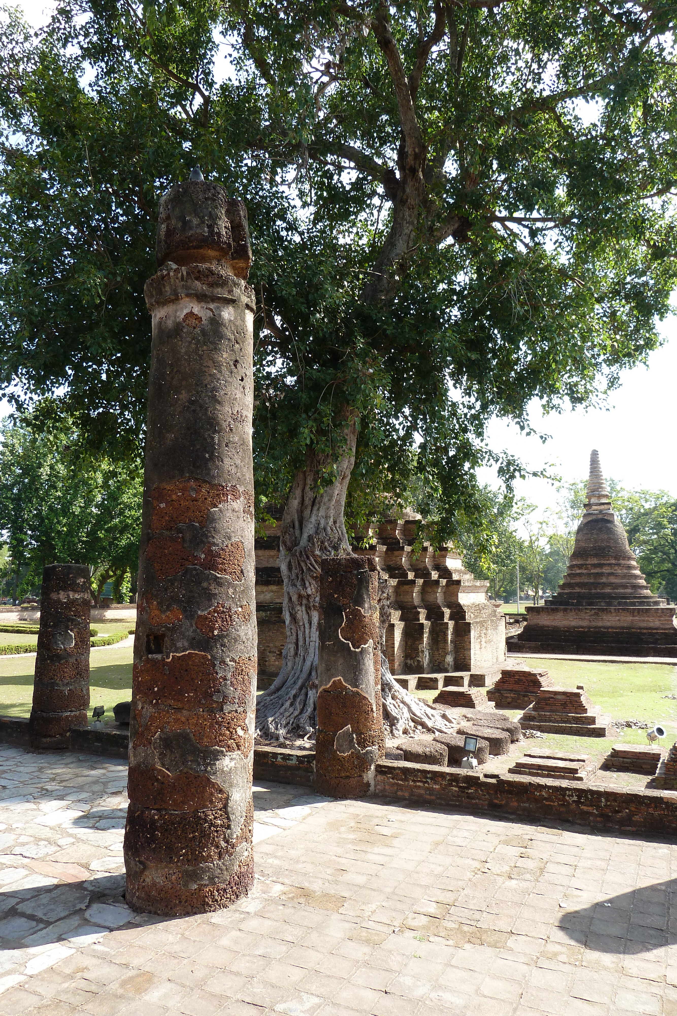 Picture Thailand Sukhothai 2010-12 36 - Recreation Sukhothai