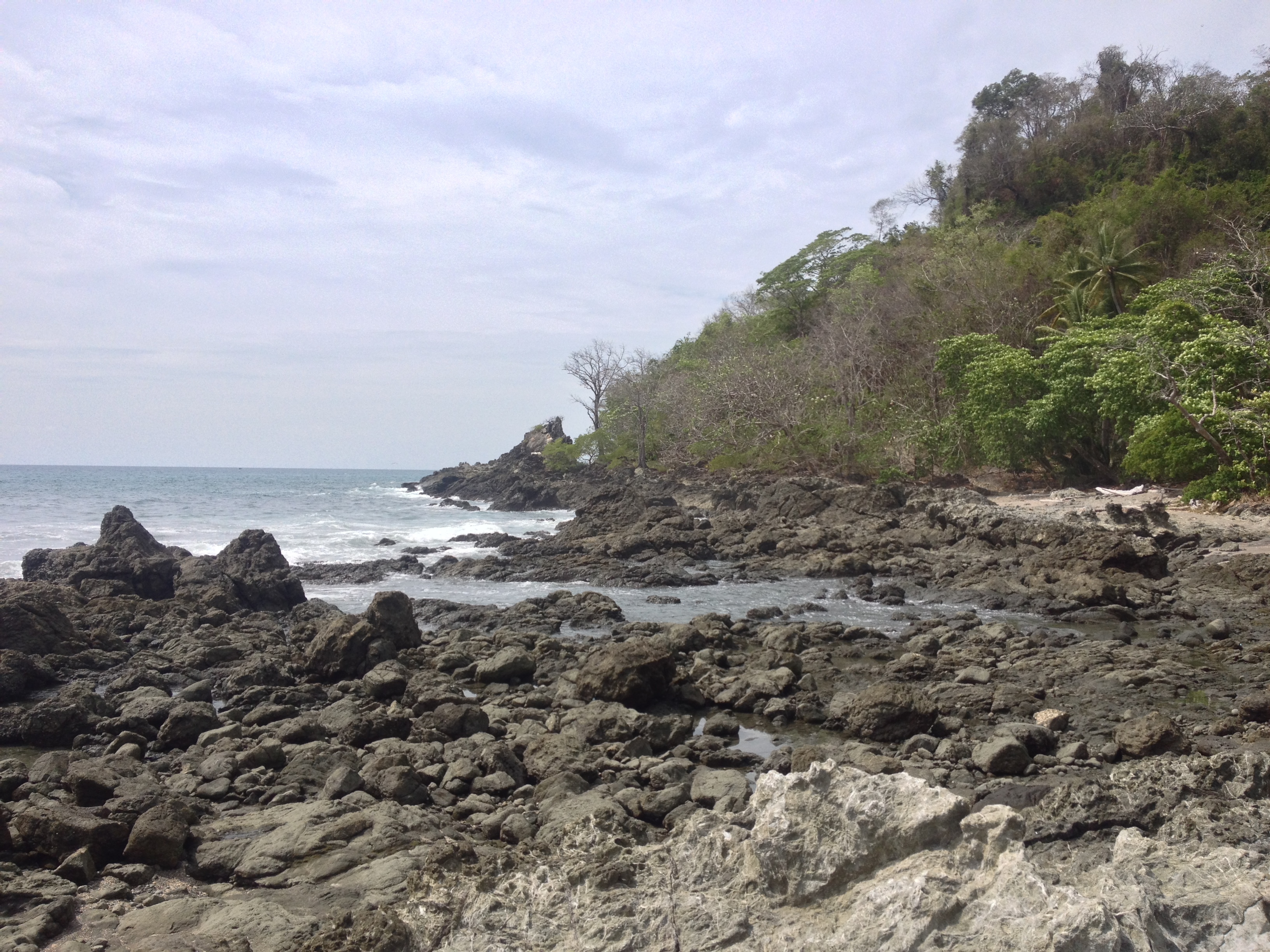 Picture Costa Rica Montezuma 2015-03 445 - History Montezuma