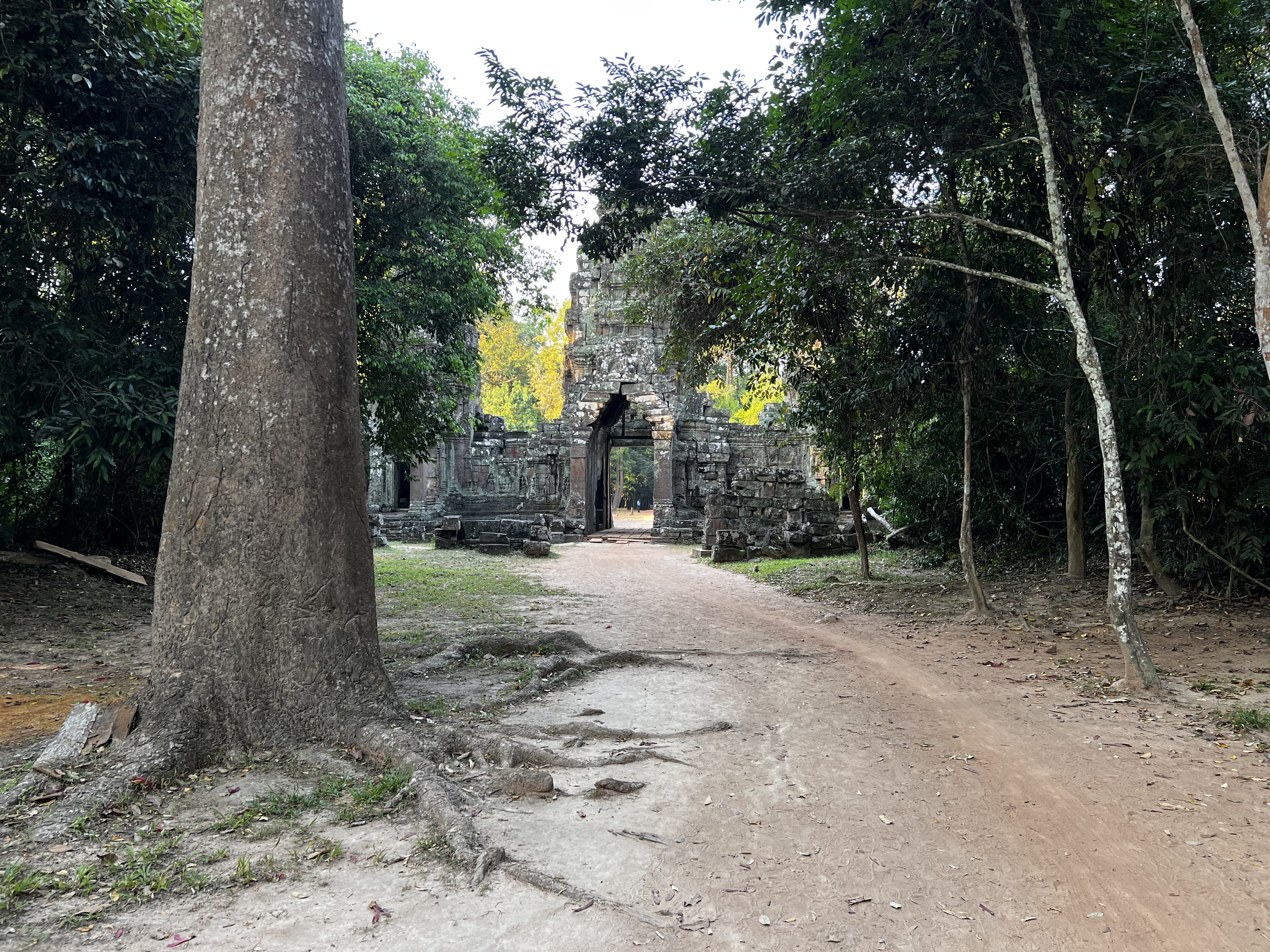 Picture Cambodia Siem Reap Preah Khan 2023-01 37 - Recreation Preah Khan