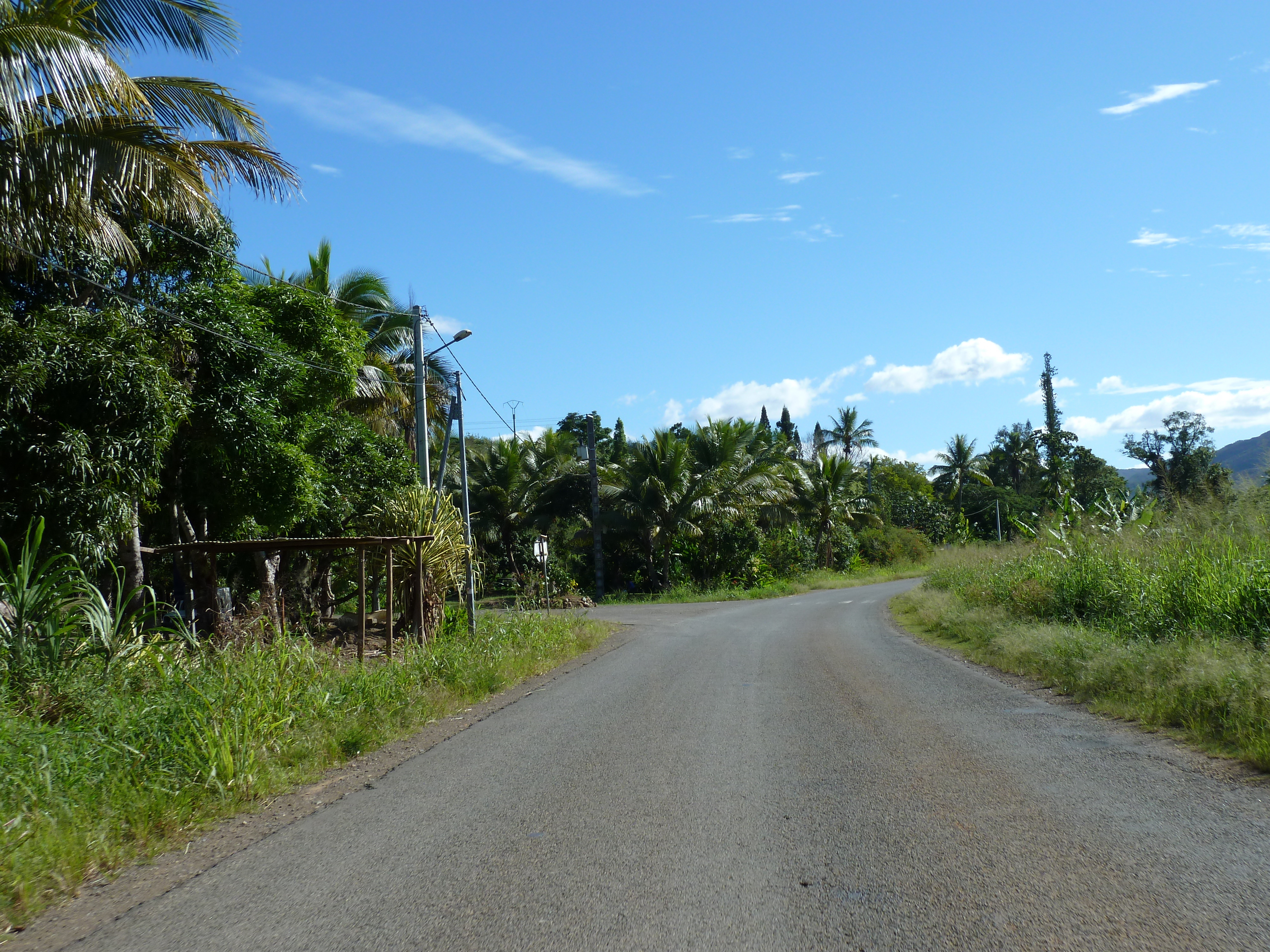 Picture New Caledonia Canala to La Foa road 2010-05 56 - Tours Canala to La Foa road