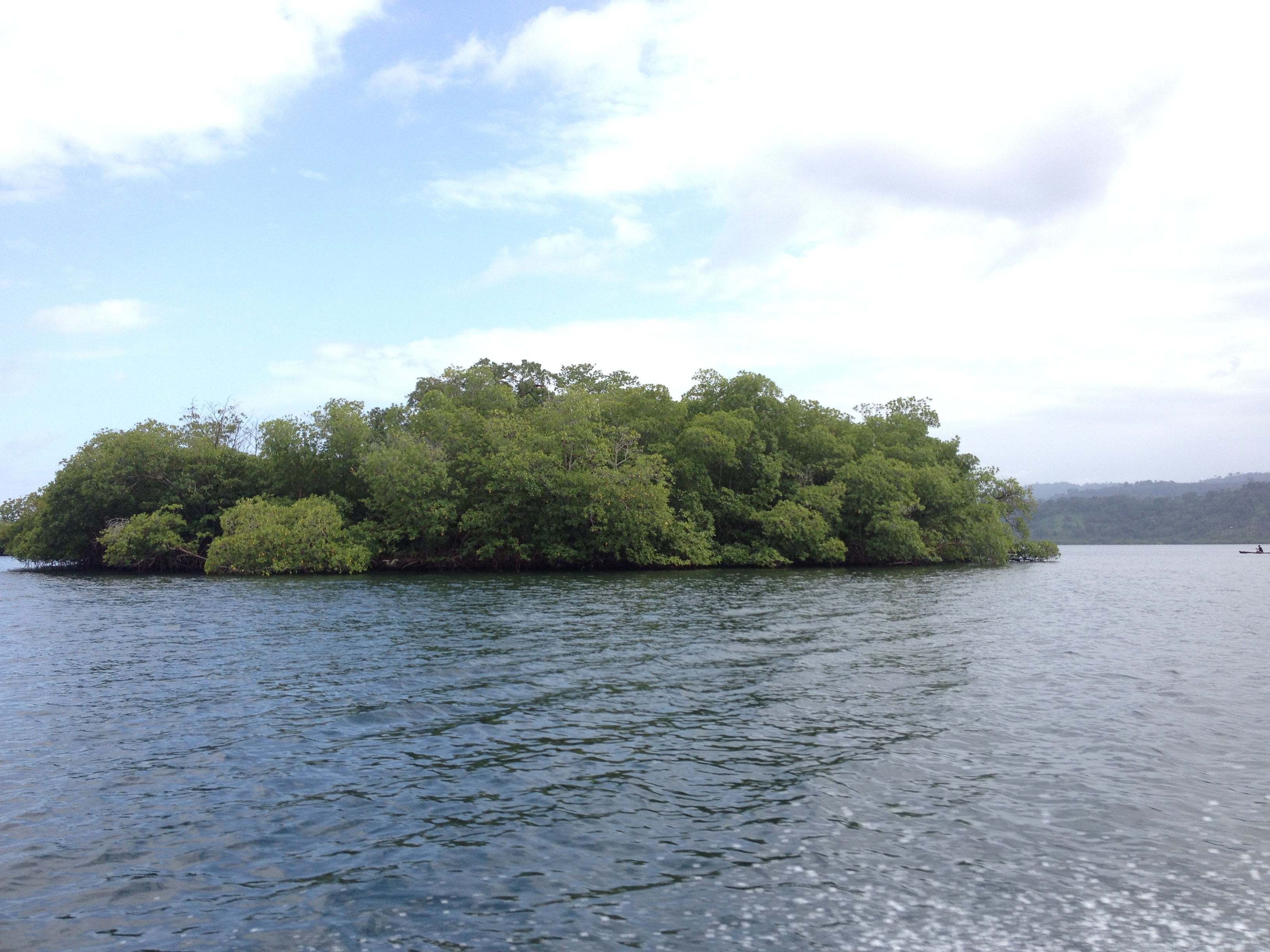 Picture Panama David to Bocas del toro 2015-03 93 - Around David to Bocas del toro