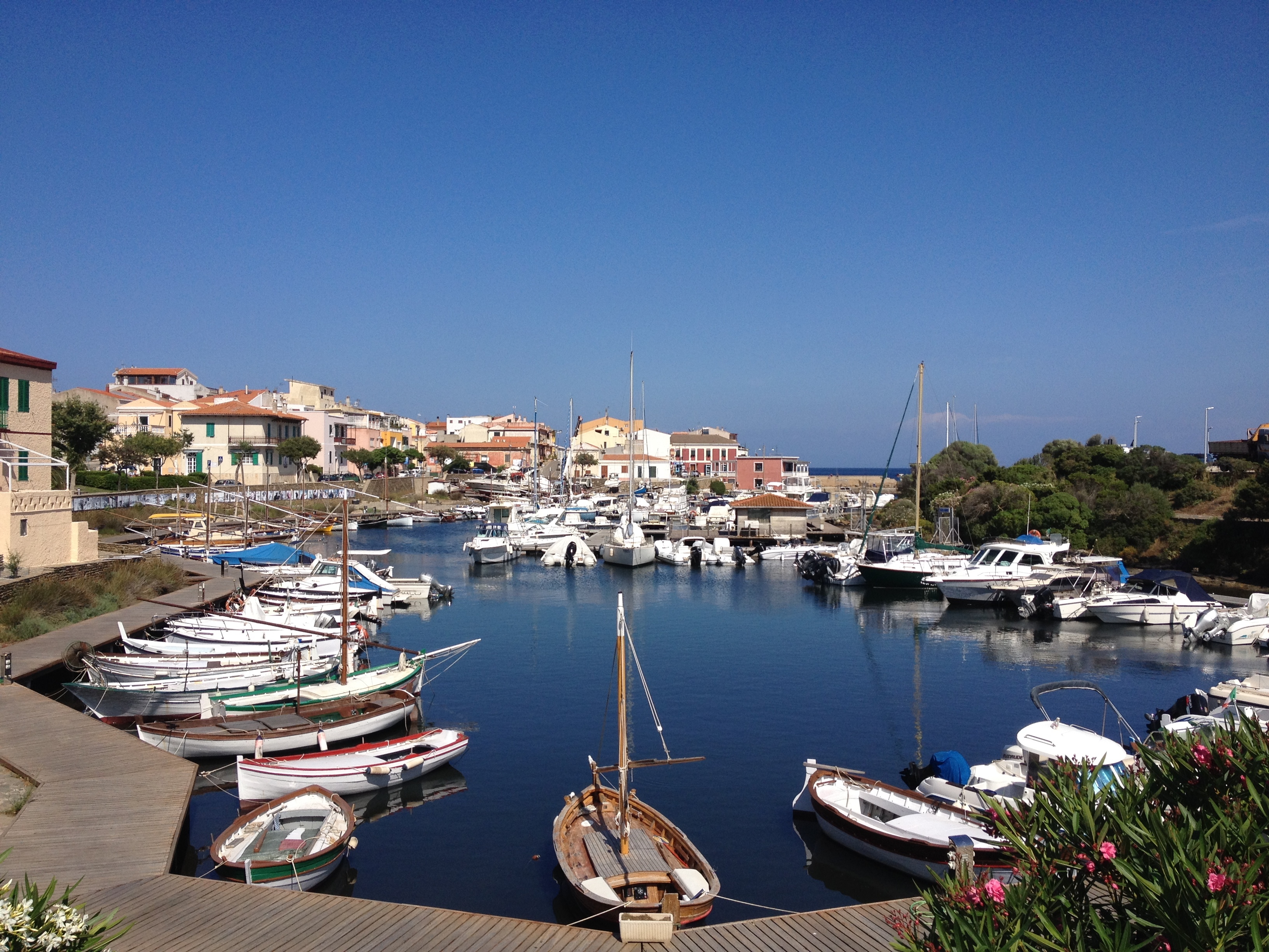 Picture Italy Sardinia Capo del Falcone 2015-06 16 - Discovery Capo del Falcone