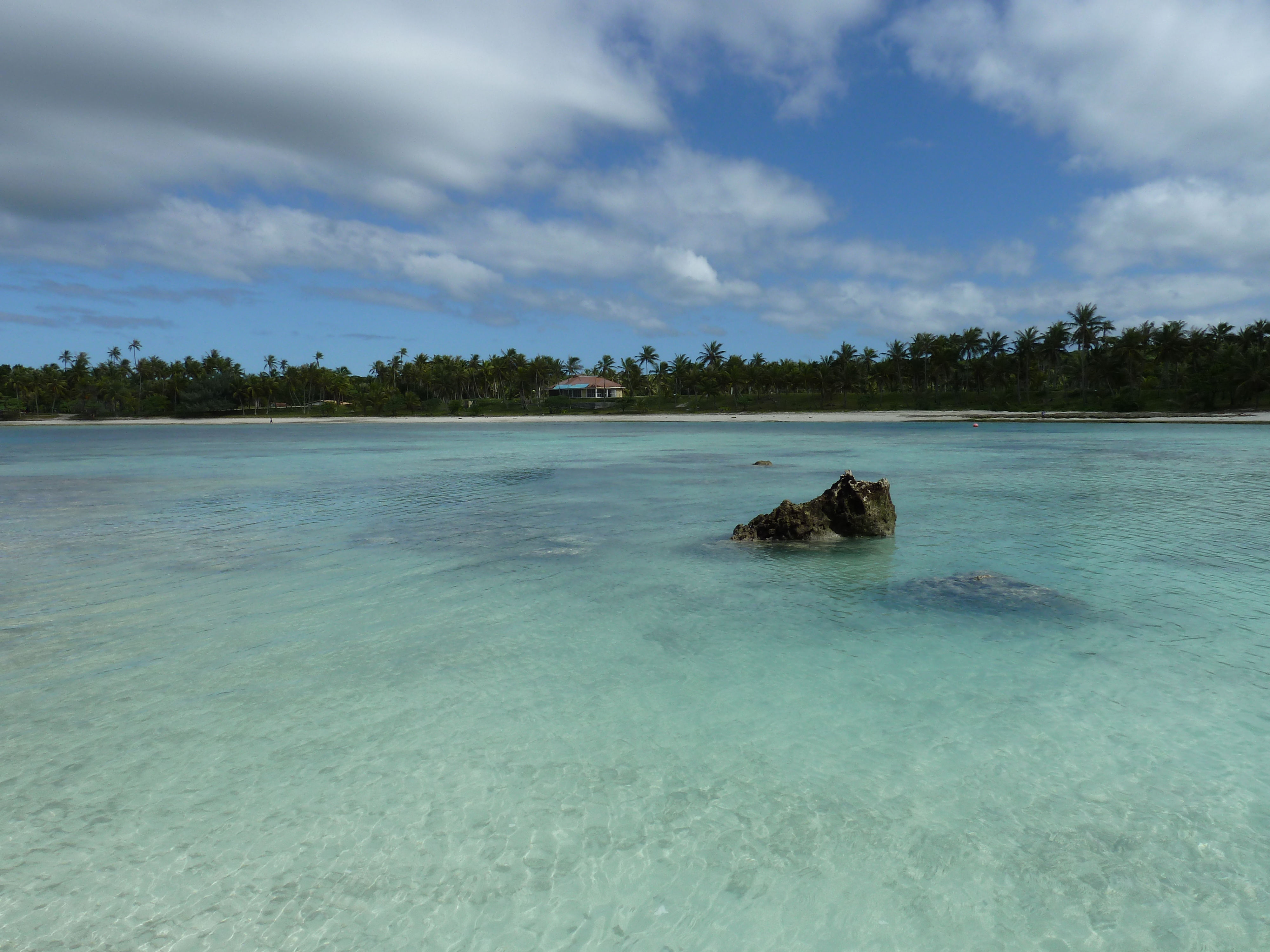 Picture New Caledonia Lifou Baie des tortues 2010-05 6 - Center Baie des tortues