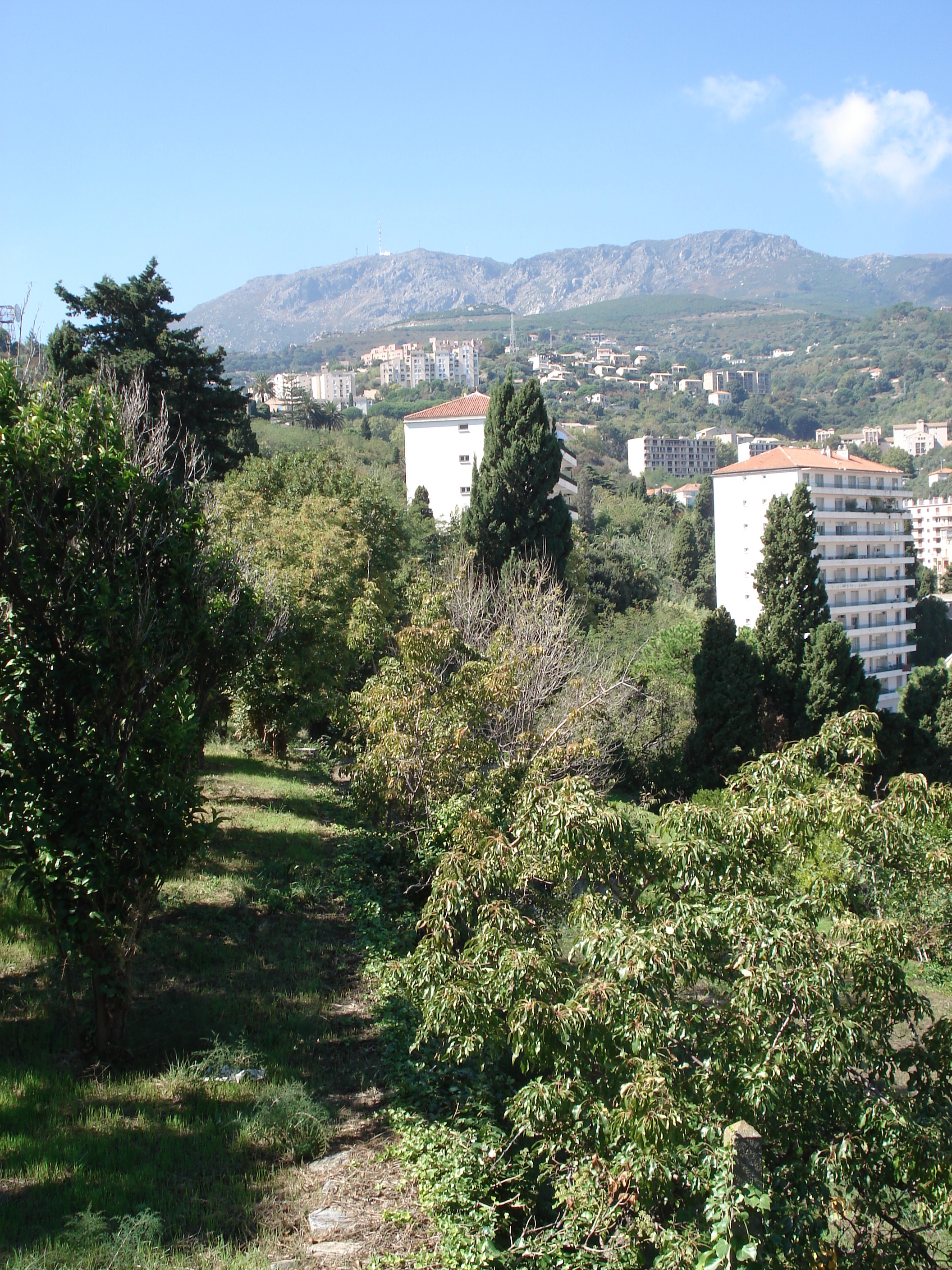 Picture France Corsica Bastia 2006-09 43 - Tours Bastia