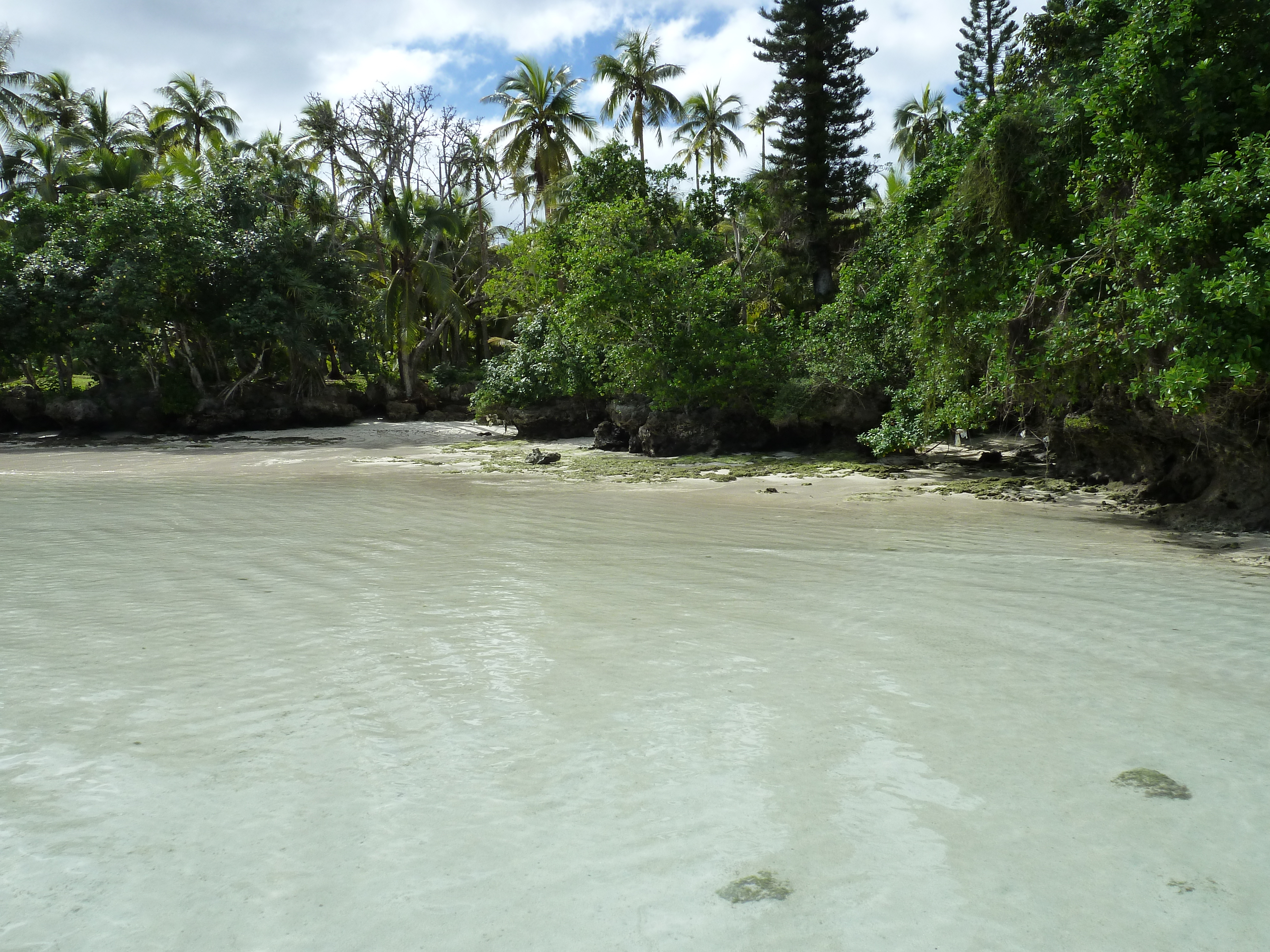 Picture New Caledonia Lifou Baie des tortues 2010-05 38 - Recreation Baie des tortues