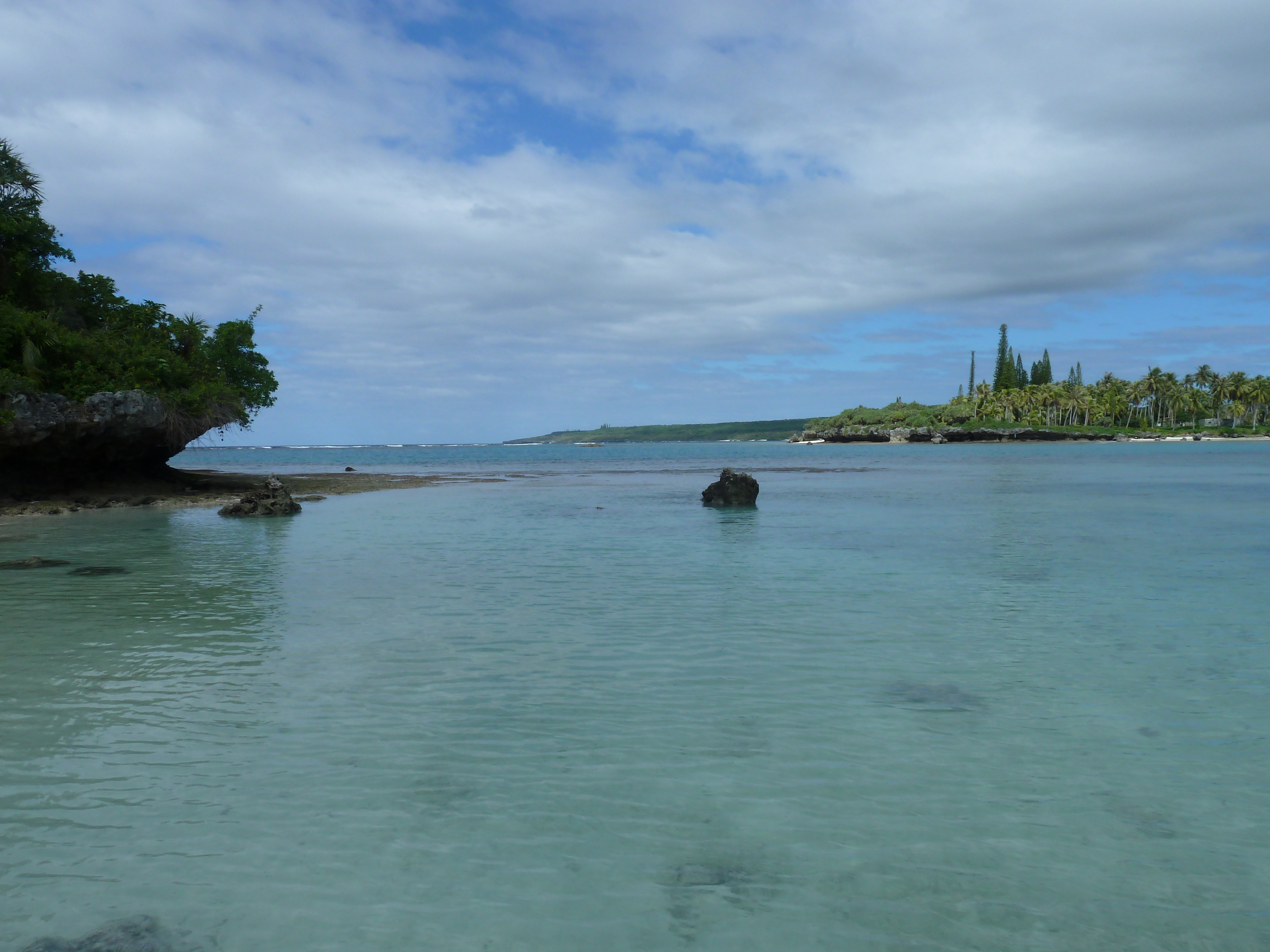 Picture New Caledonia Lifou Baie des tortues 2010-05 41 - Tours Baie des tortues