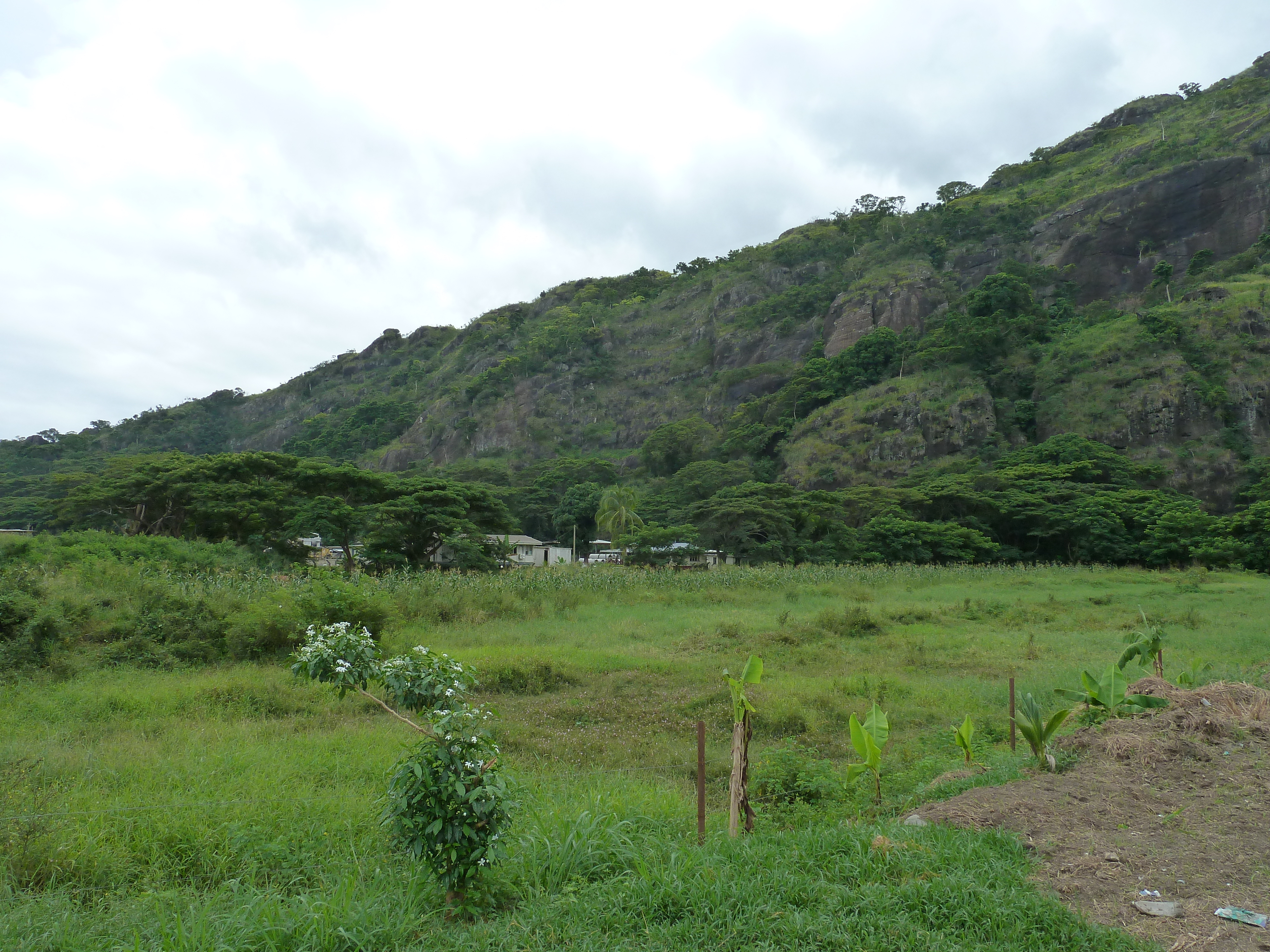 Picture Fiji Nadi to Lautoka road 2010-05 11 - Around Nadi to Lautoka road