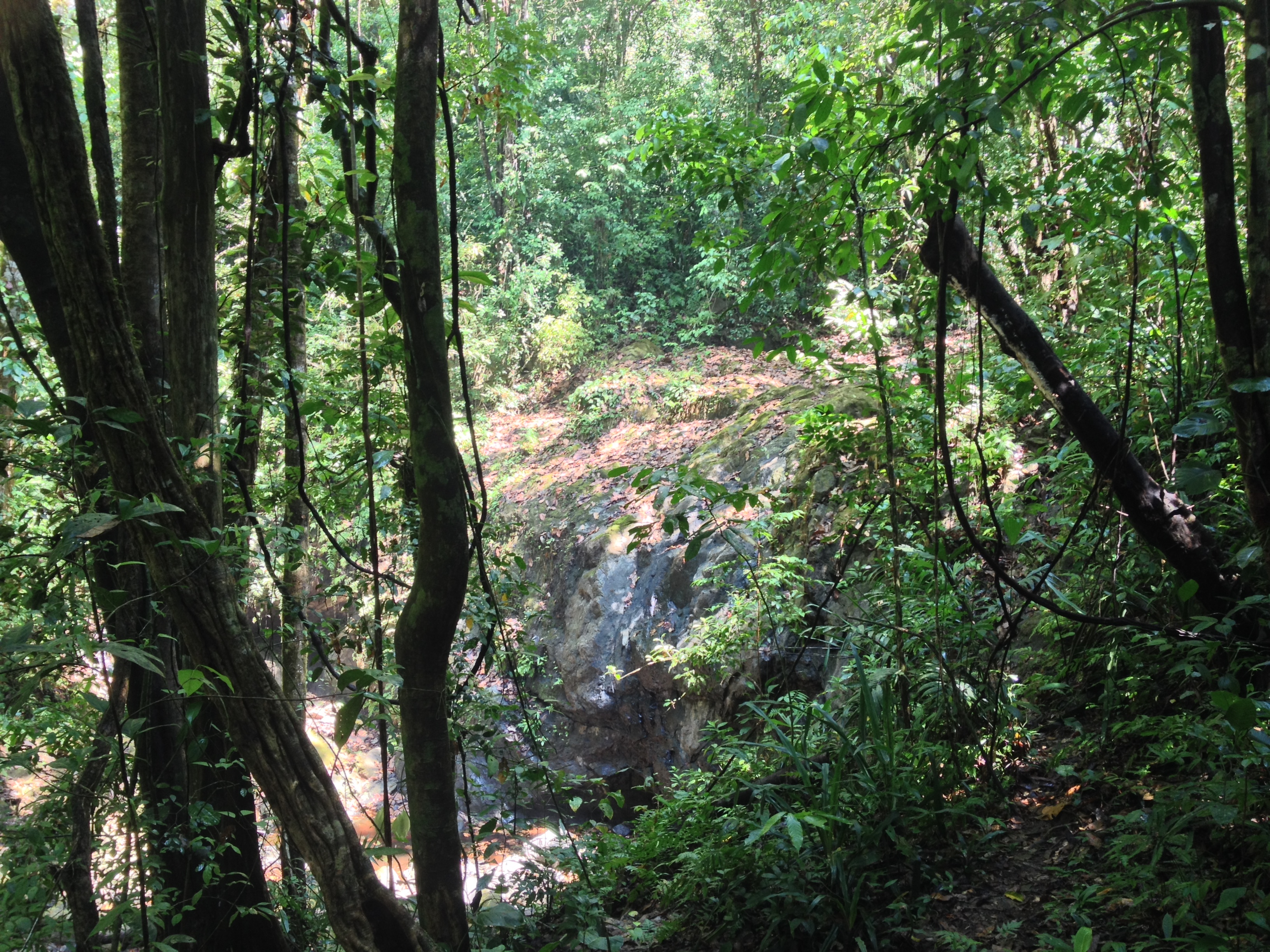 Picture Costa Rica Manuel Antonio 2015-03 211 - Center Manuel Antonio