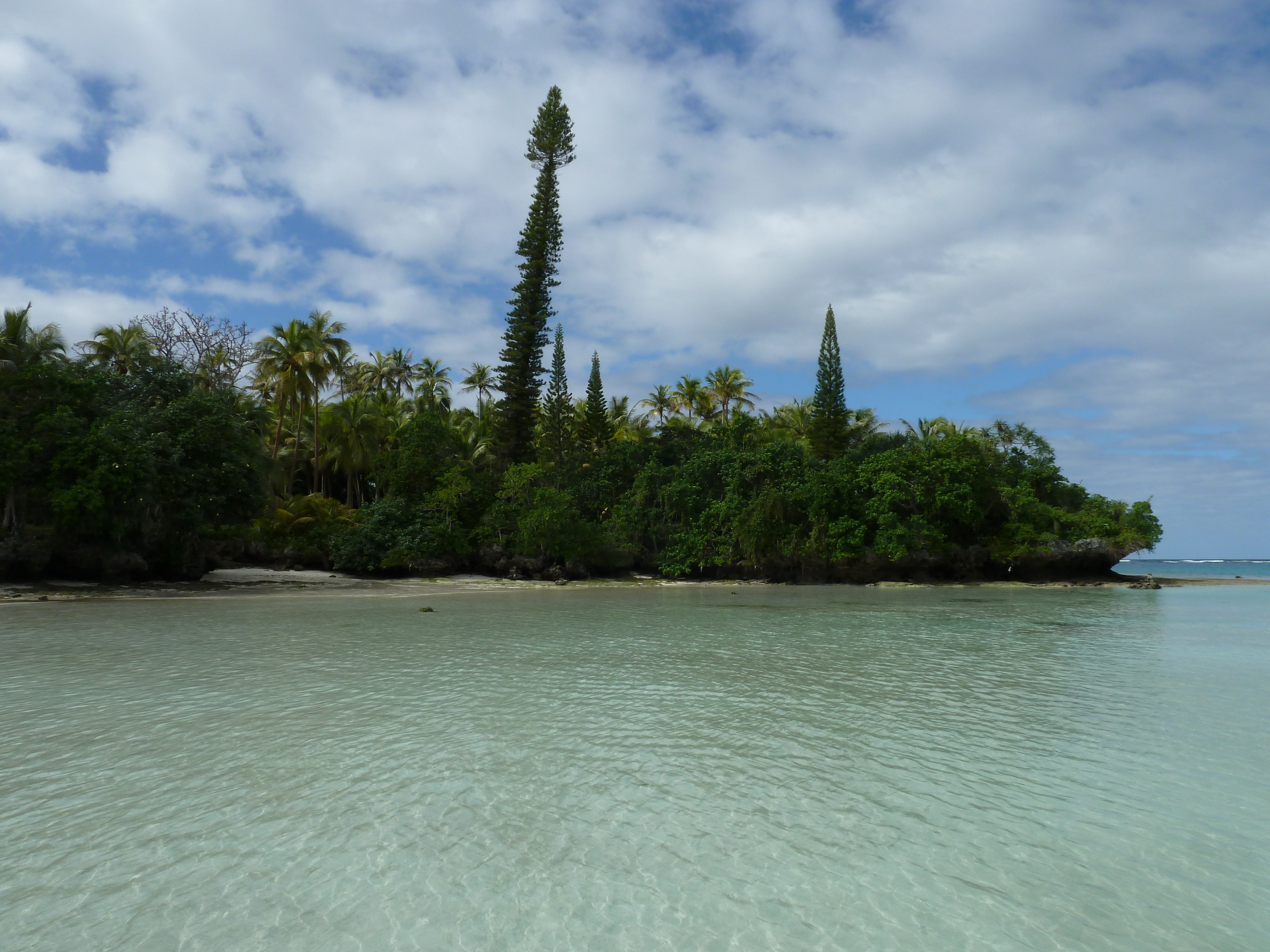 Picture New Caledonia Lifou Baie des tortues 2010-05 18 - Tours Baie des tortues