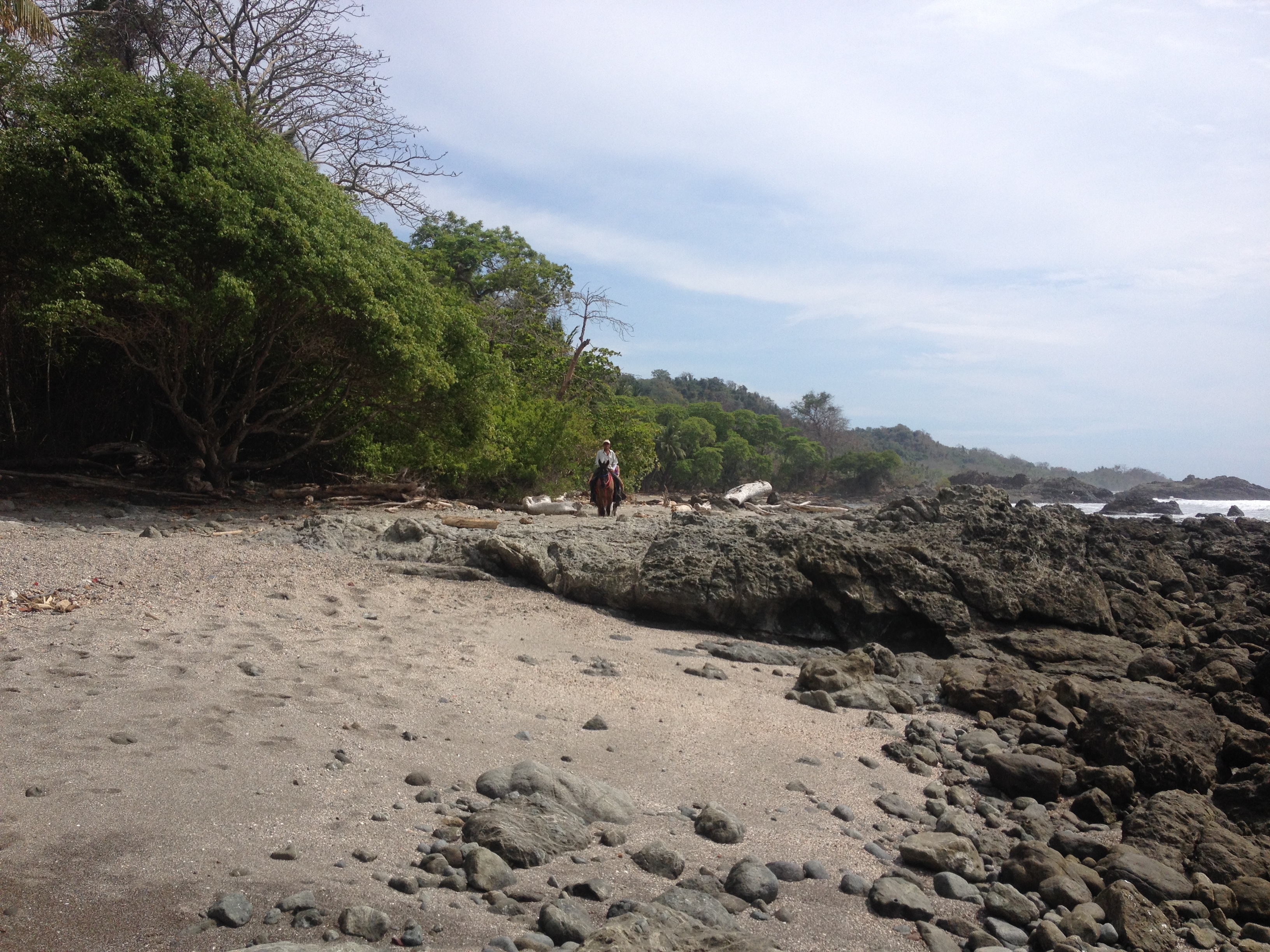 Picture Costa Rica Montezuma 2015-03 422 - Discovery Montezuma