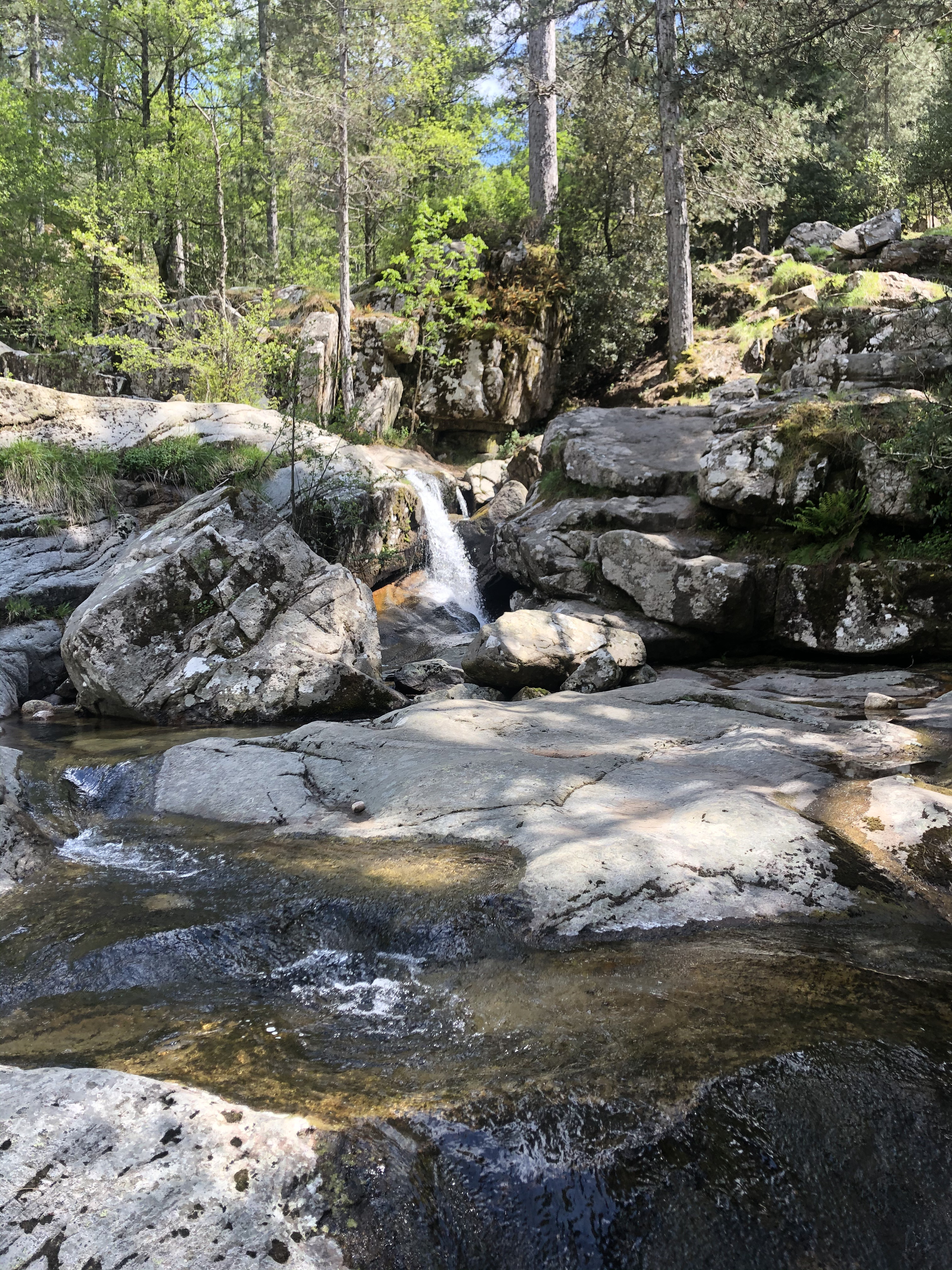 Picture France Corsica Aitone Forest 2021-06 12 - Around Aitone Forest