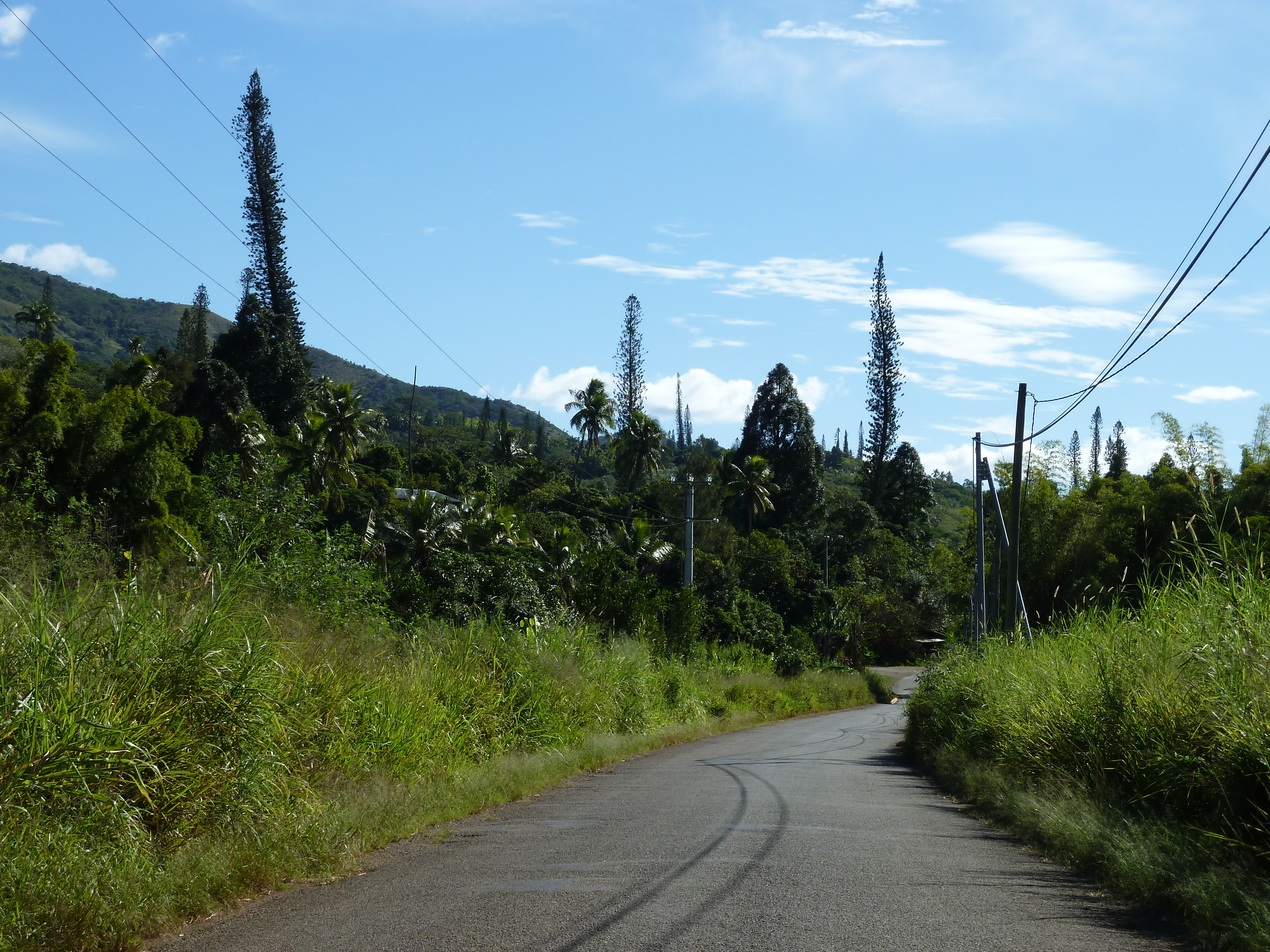 Picture New Caledonia Thio to Canala road 2010-05 71 - Tour Thio to Canala road