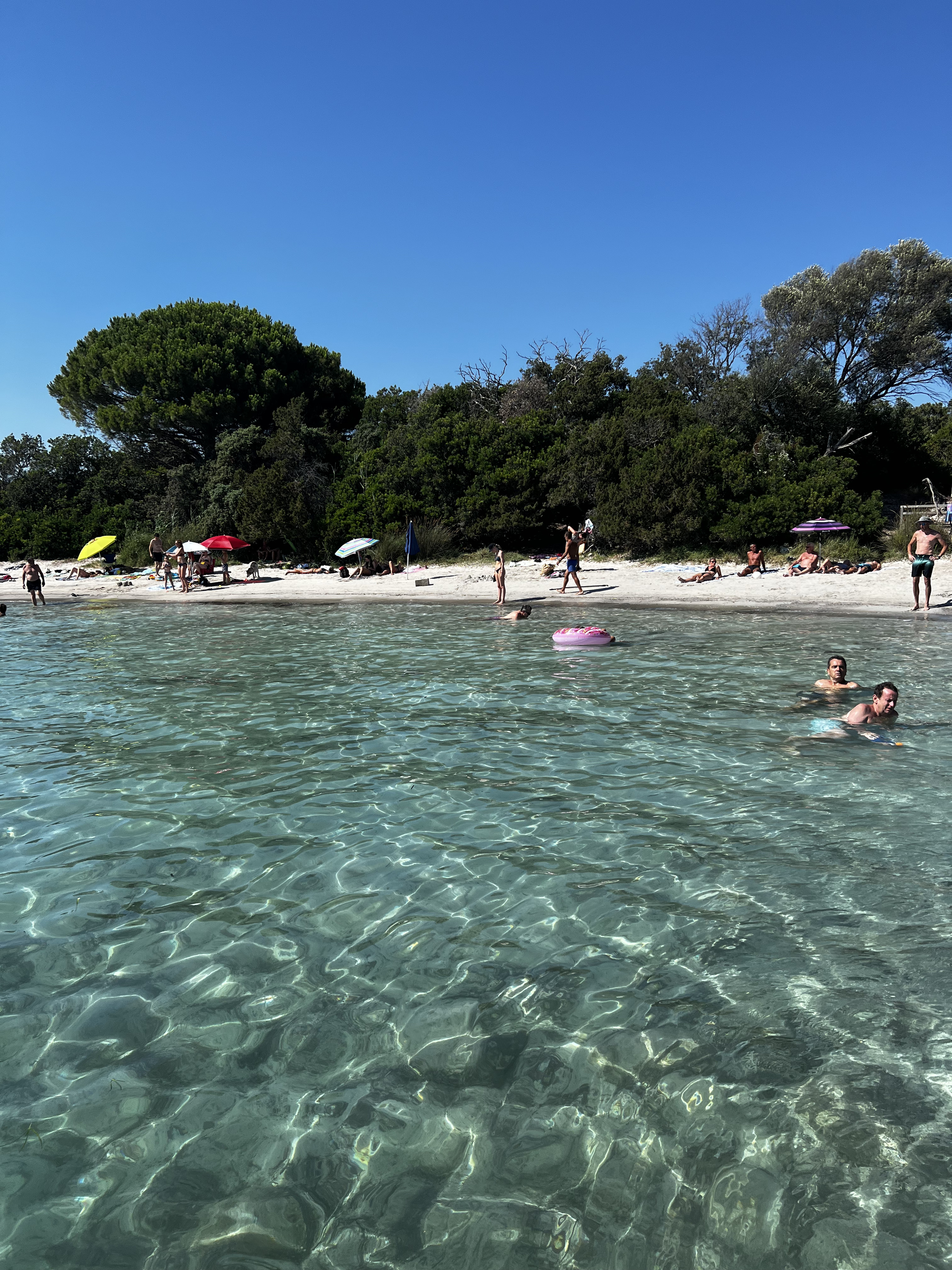 Picture France Corsica Santa Giulia Beach 2022-07 2 - History Santa Giulia Beach