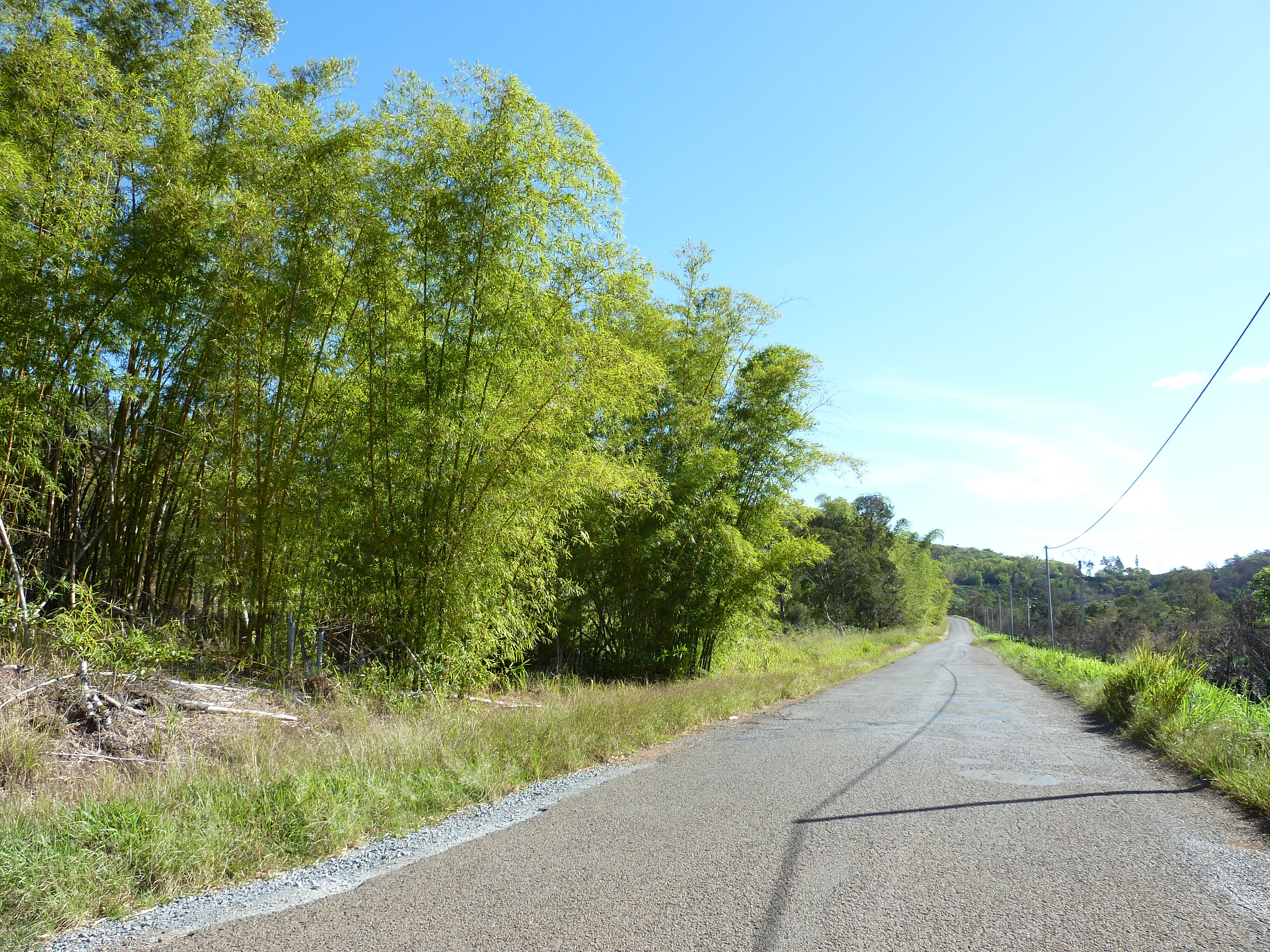 Picture New Caledonia Thio to Canala road 2010-05 1 - Discovery Thio to Canala road