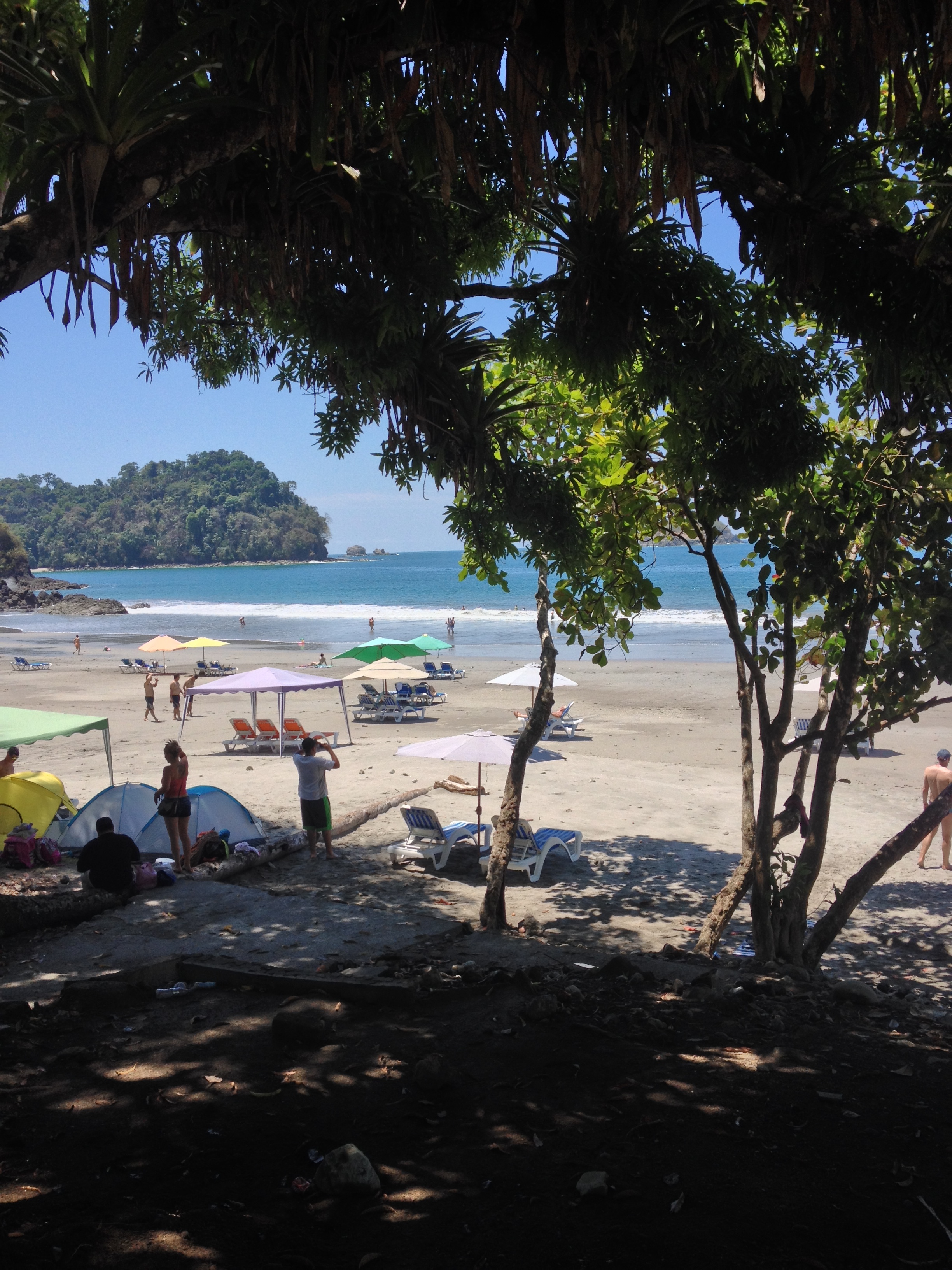 Picture Costa Rica Manuel Antonio 2015-03 522 - Journey Manuel Antonio