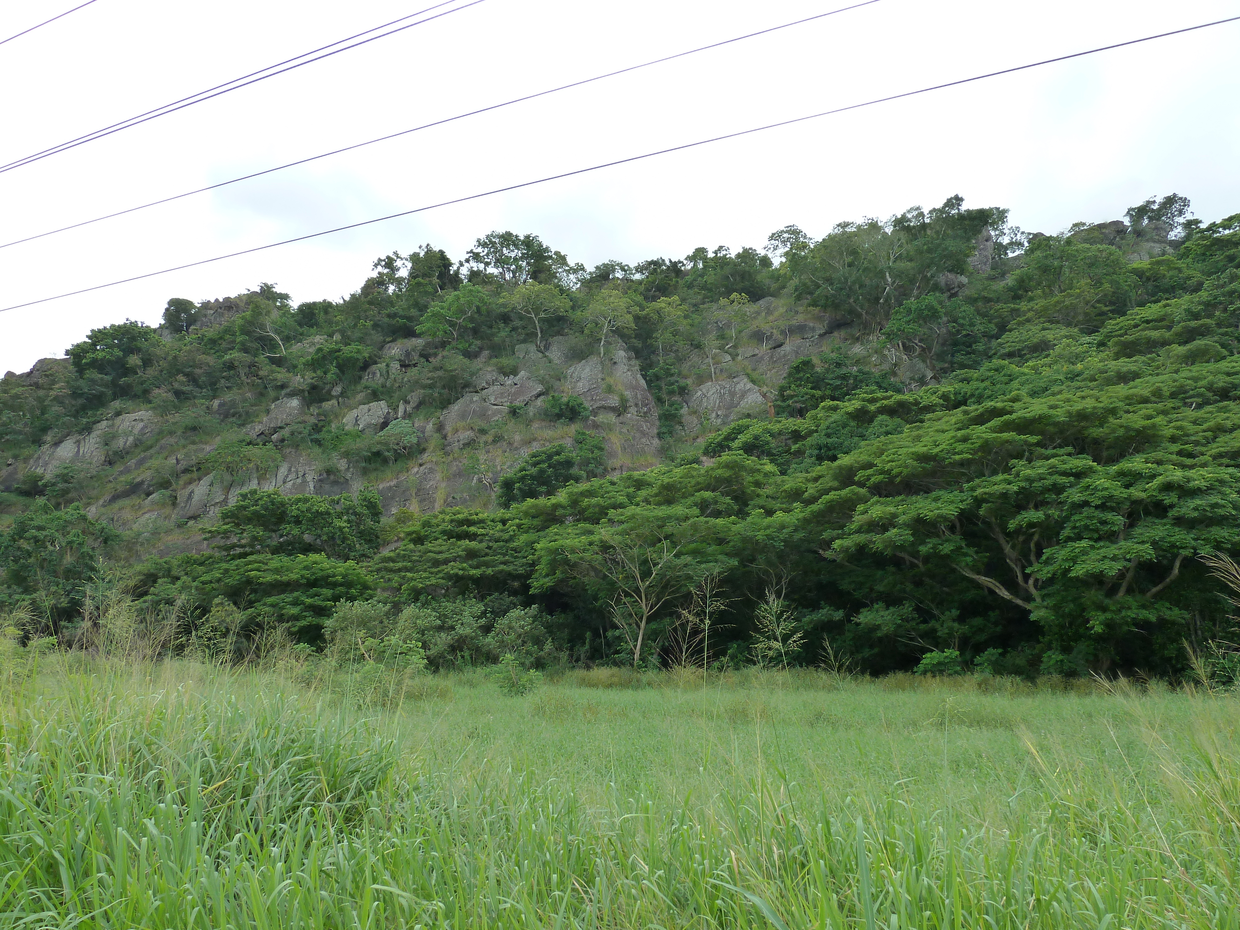 Picture Fiji Nadi to Lautoka road 2010-05 2 - Tours Nadi to Lautoka road