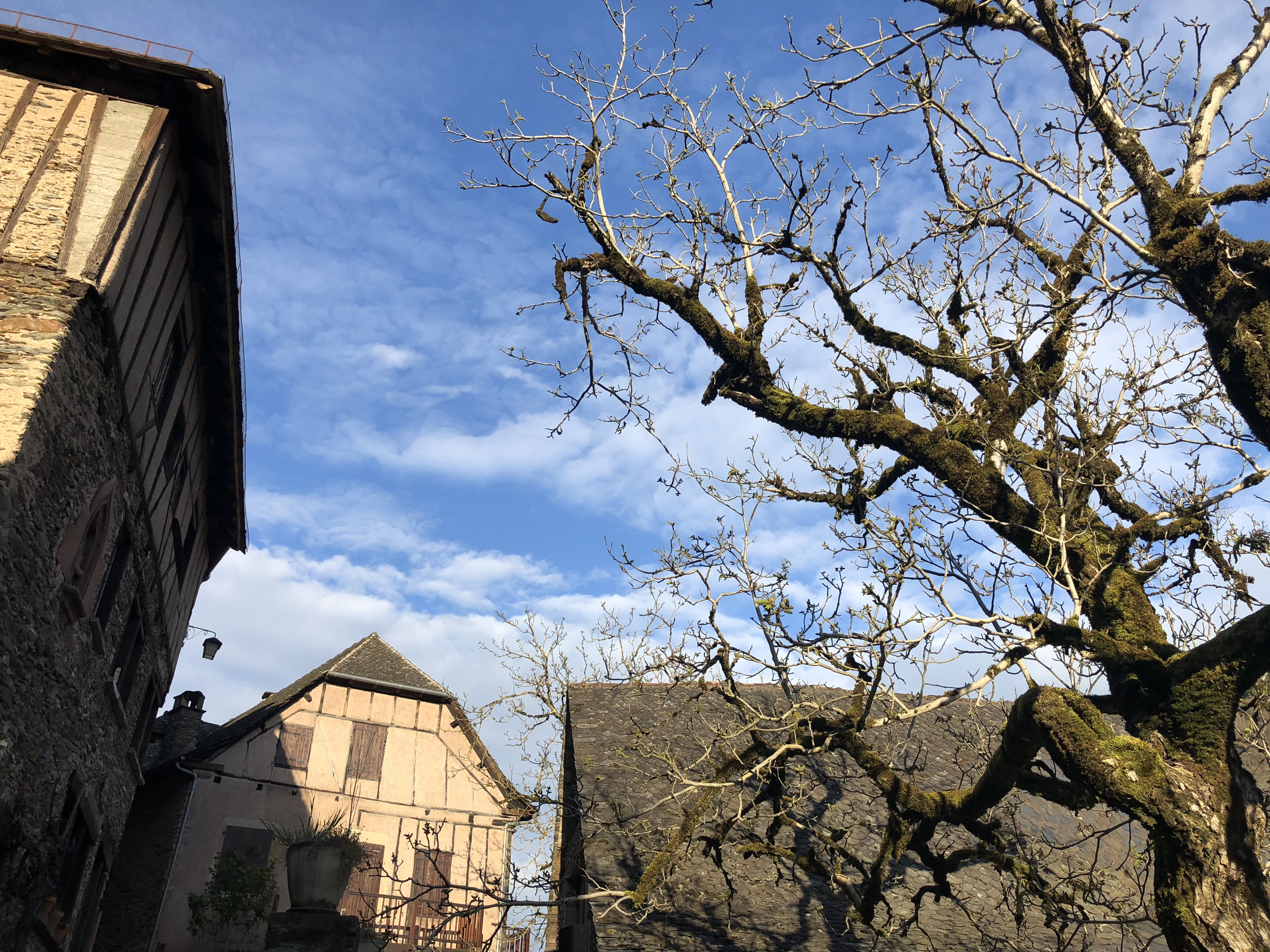 Picture France Conques 2018-04 149 - Tour Conques