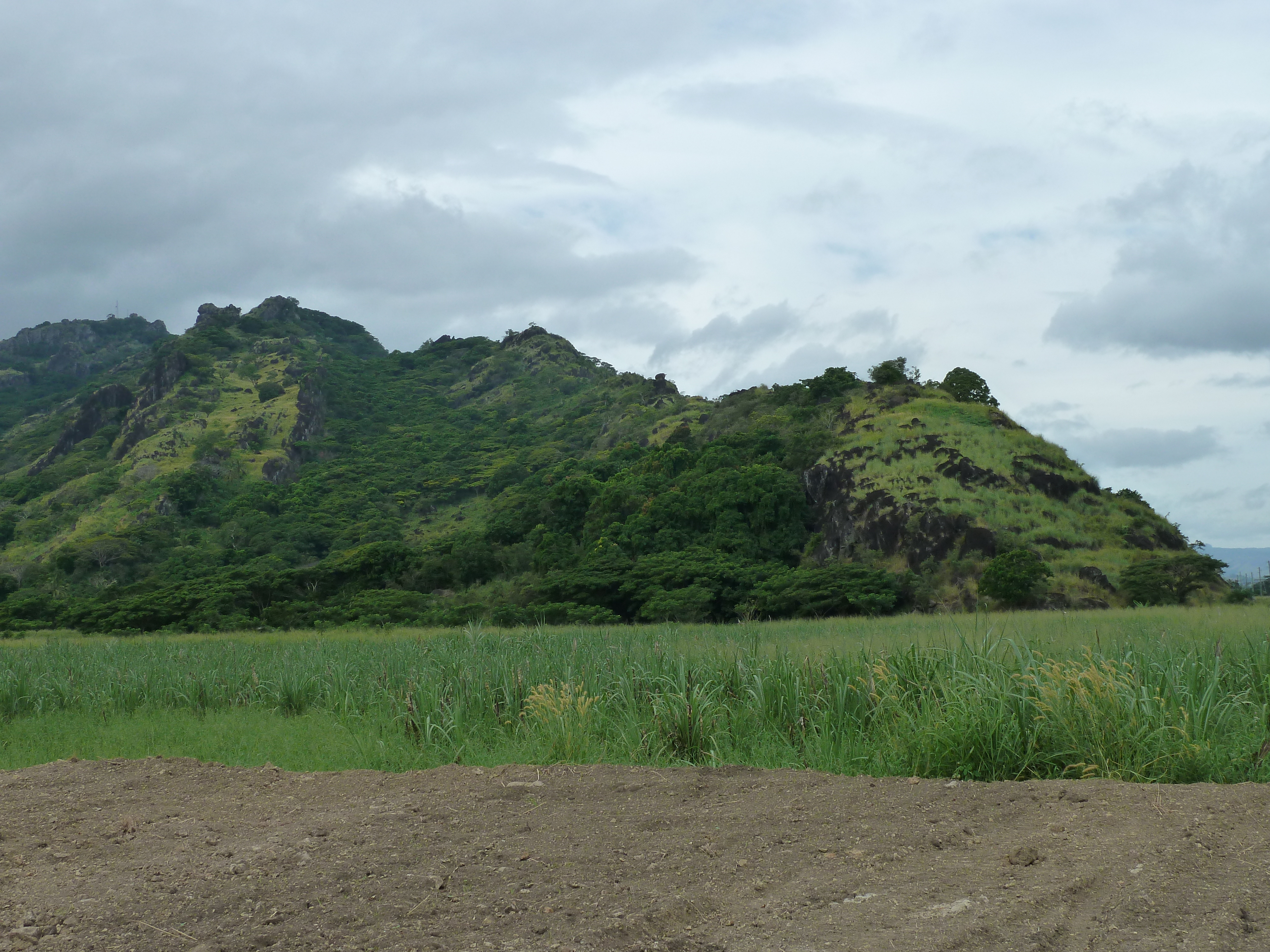 Picture Fiji Nadi to Lautoka road 2010-05 1 - Center Nadi to Lautoka road