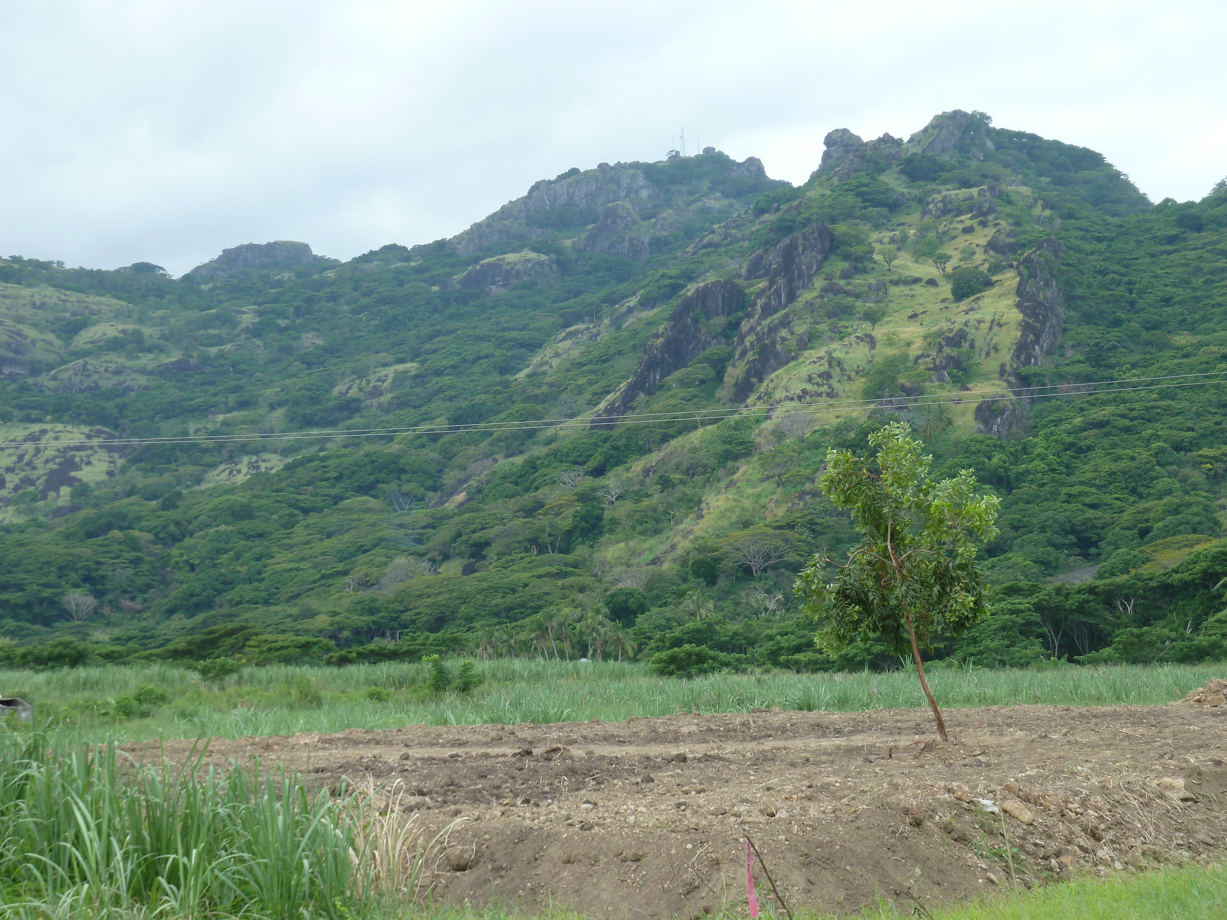 Picture Fiji Nadi to Lautoka road 2010-05 0 - Tours Nadi to Lautoka road