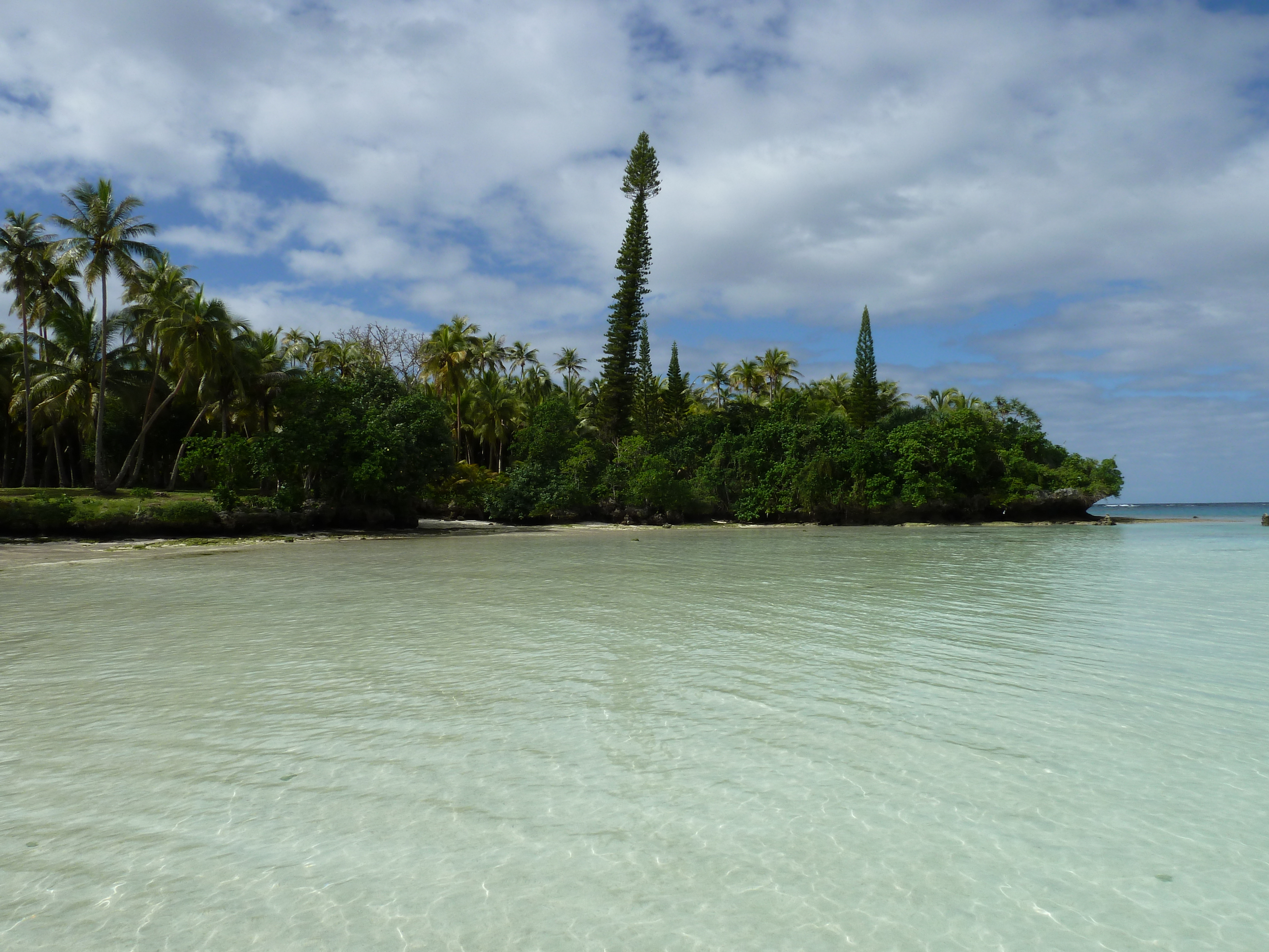 Picture New Caledonia Lifou Baie des tortues 2010-05 10 - Center Baie des tortues