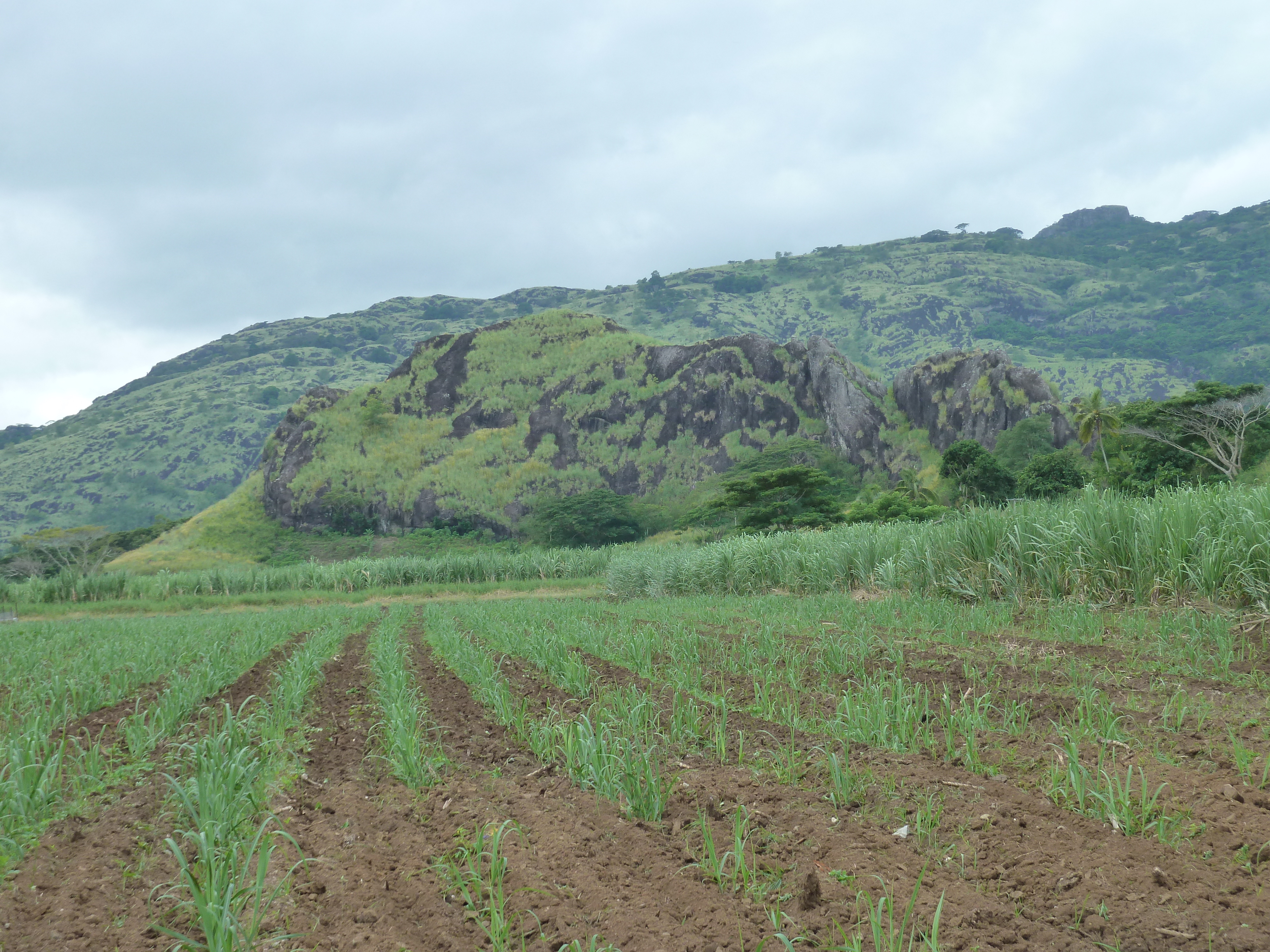 Picture Fiji Nadi to Lautoka road 2010-05 4 - Recreation Nadi to Lautoka road