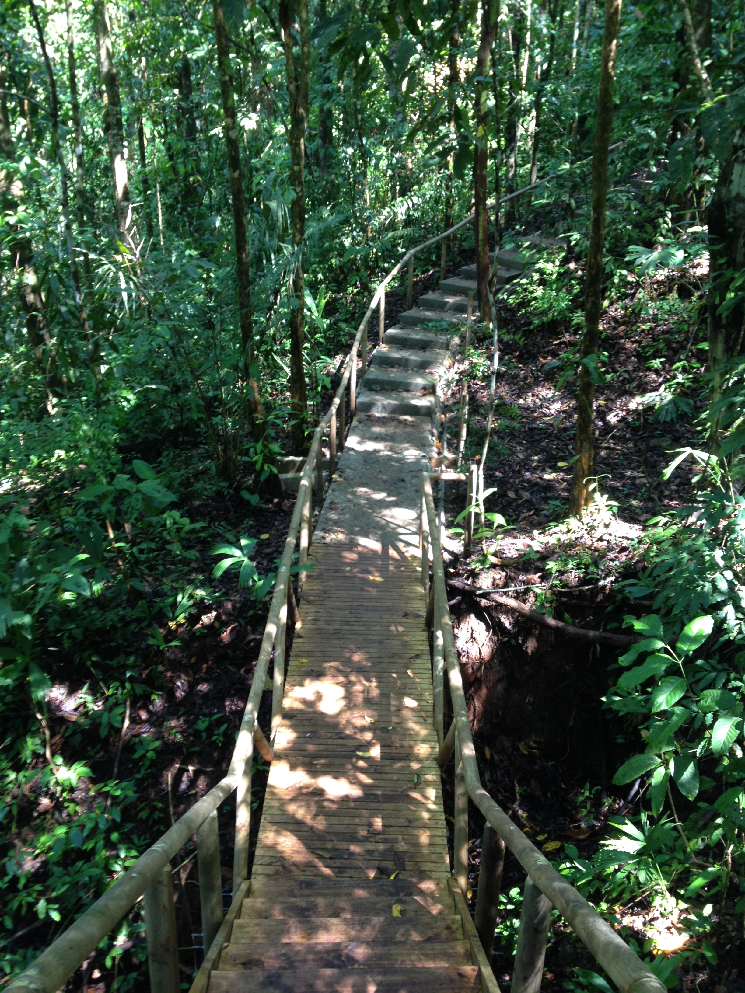 Picture Costa Rica Manuel Antonio 2015-03 139 - Around Manuel Antonio