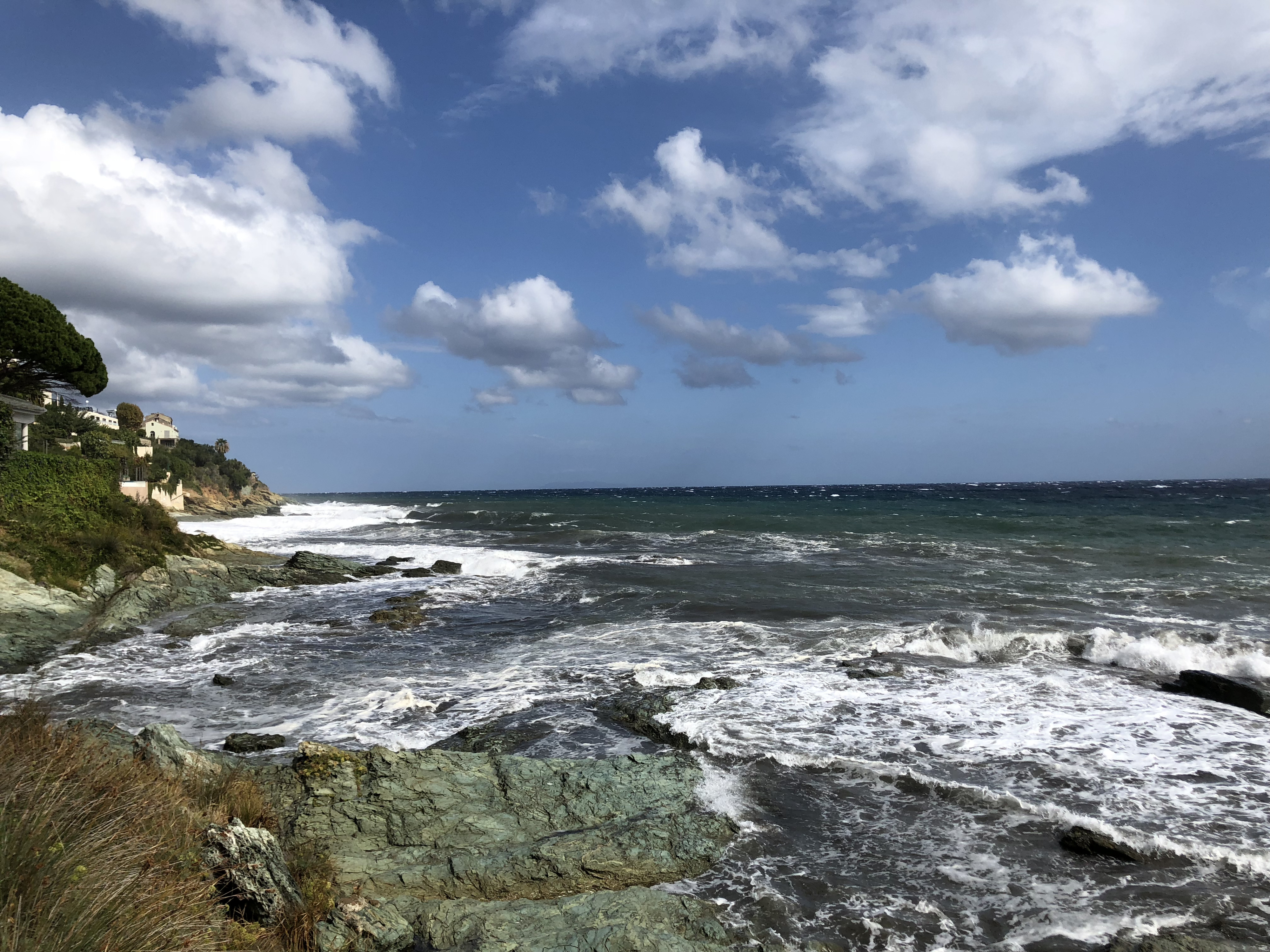 Picture France Corsica San Martino di Lota 2018-09 18 - Tours San Martino di Lota