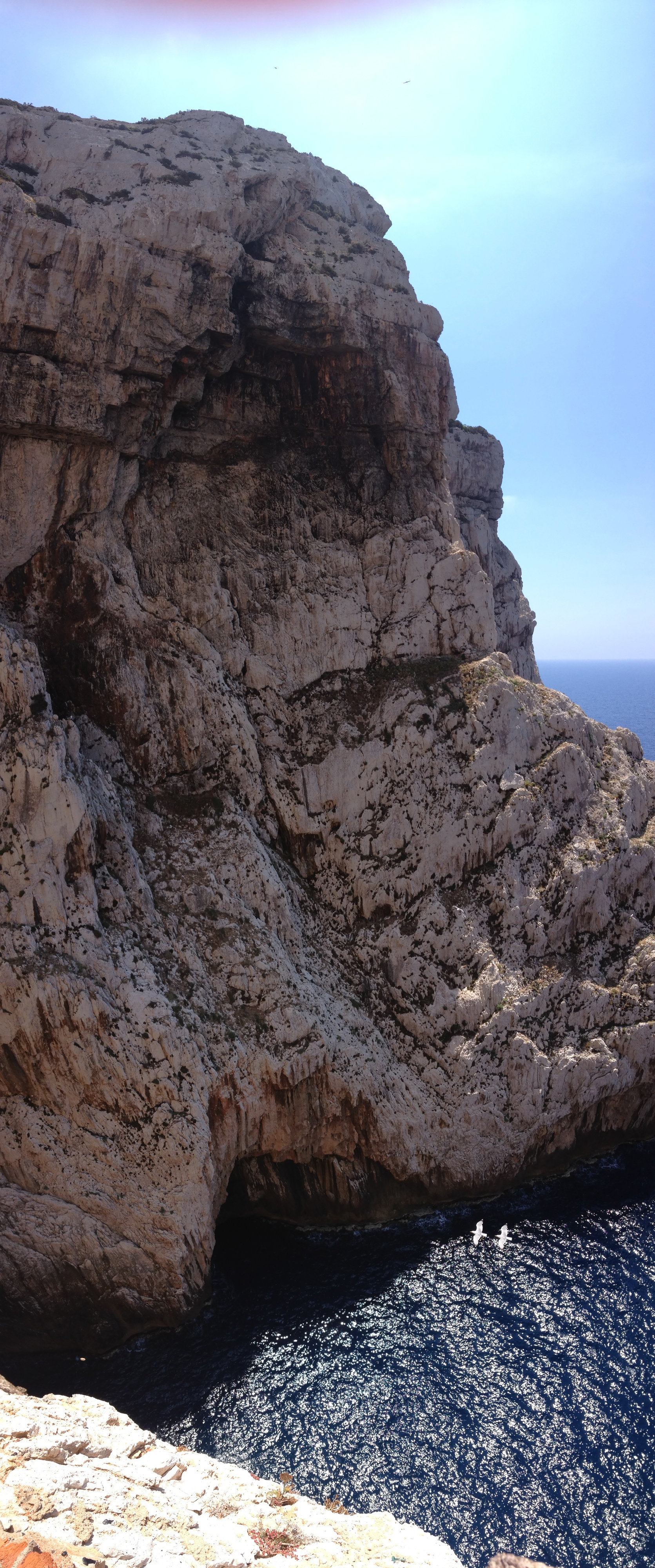 Picture Italy Sardinia Capo Caccia 2015-06 48 - Around Capo Caccia