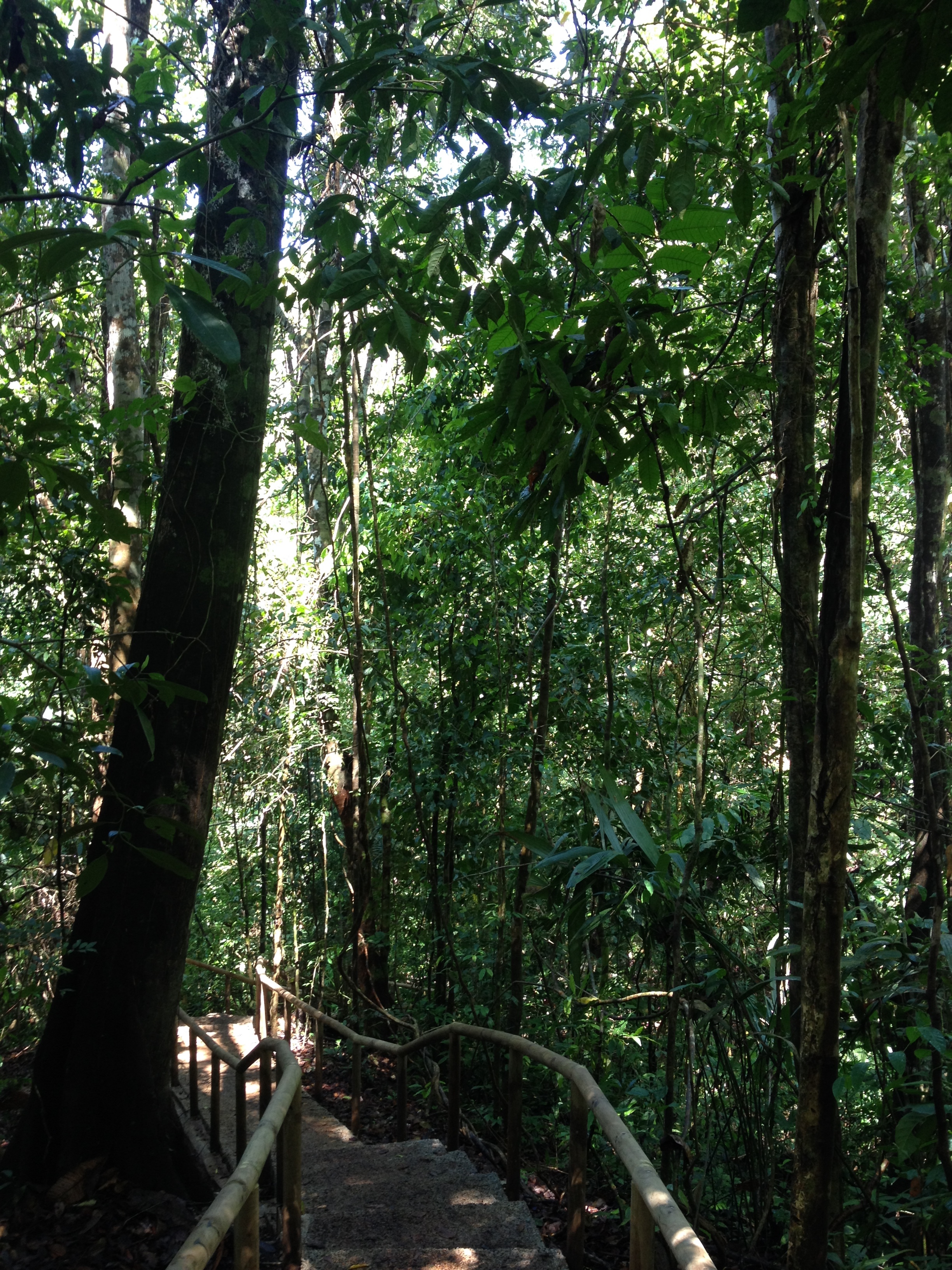 Picture Costa Rica Manuel Antonio 2015-03 123 - History Manuel Antonio