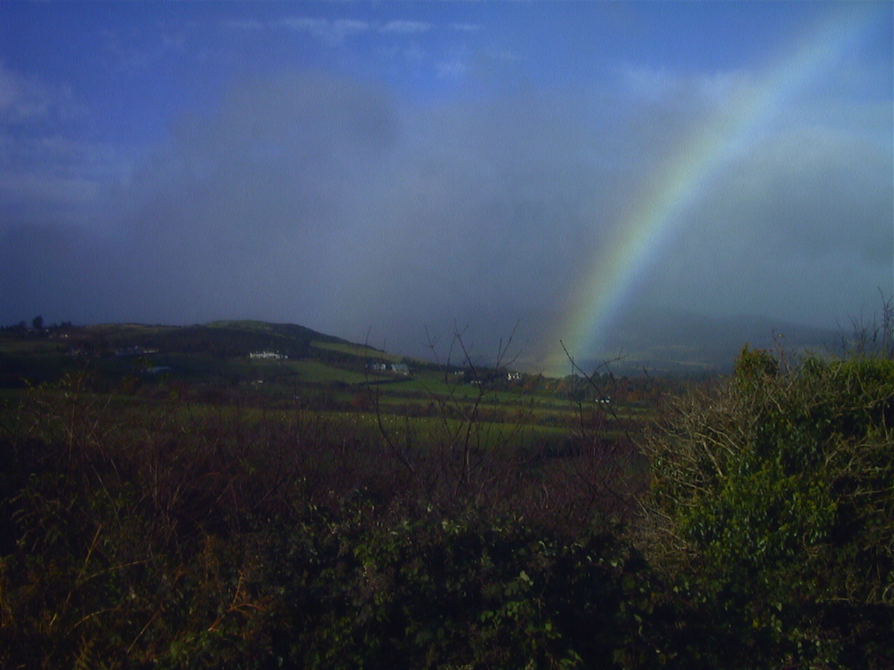 Picture Ireland 2000-11 15 - Discovery Ireland