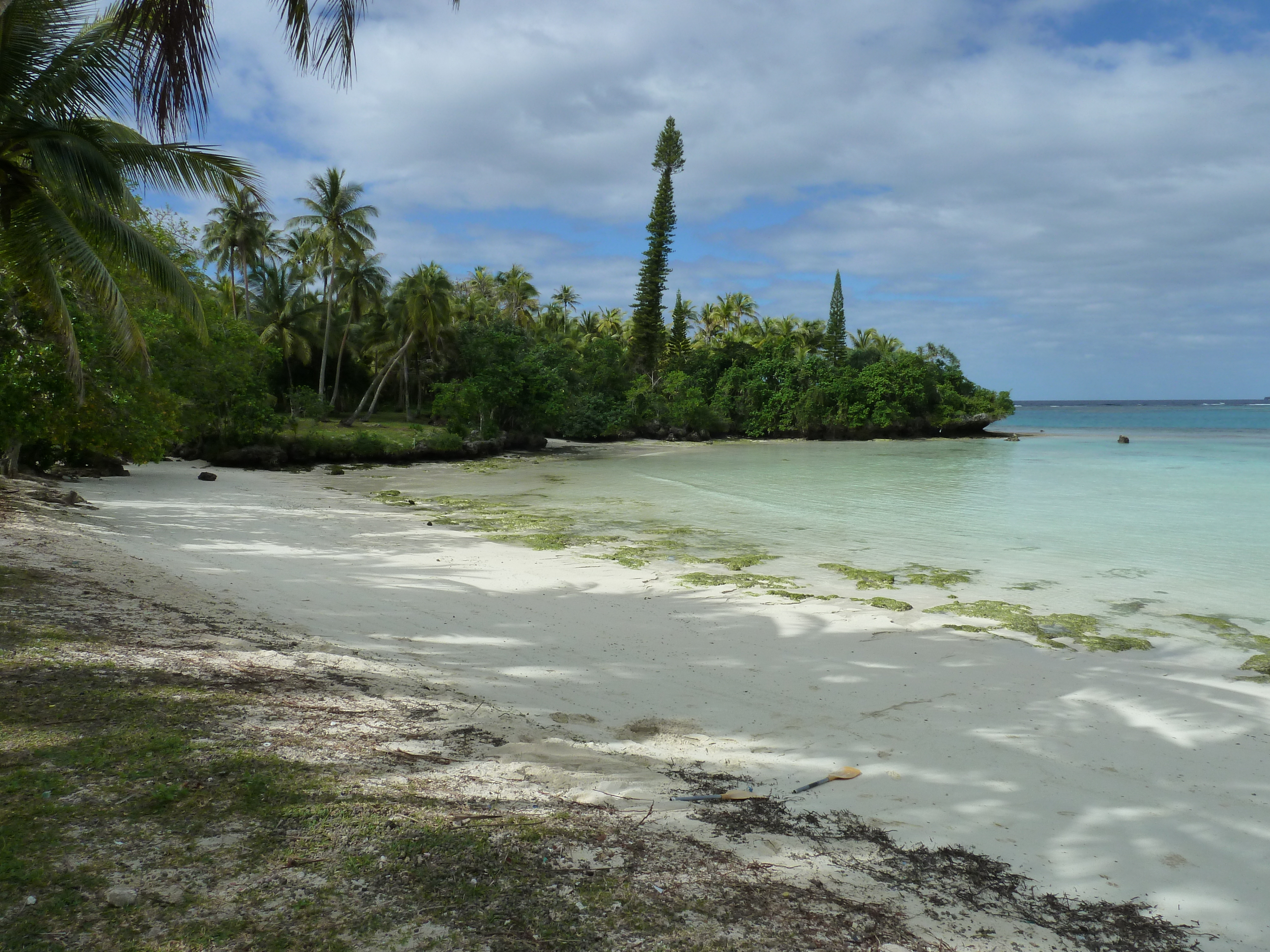 Picture New Caledonia Lifou Baie des tortues 2010-05 40 - Journey Baie des tortues