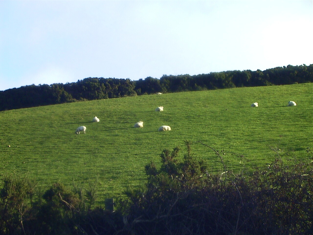 Picture Ireland 2000-11 5 - Around Ireland