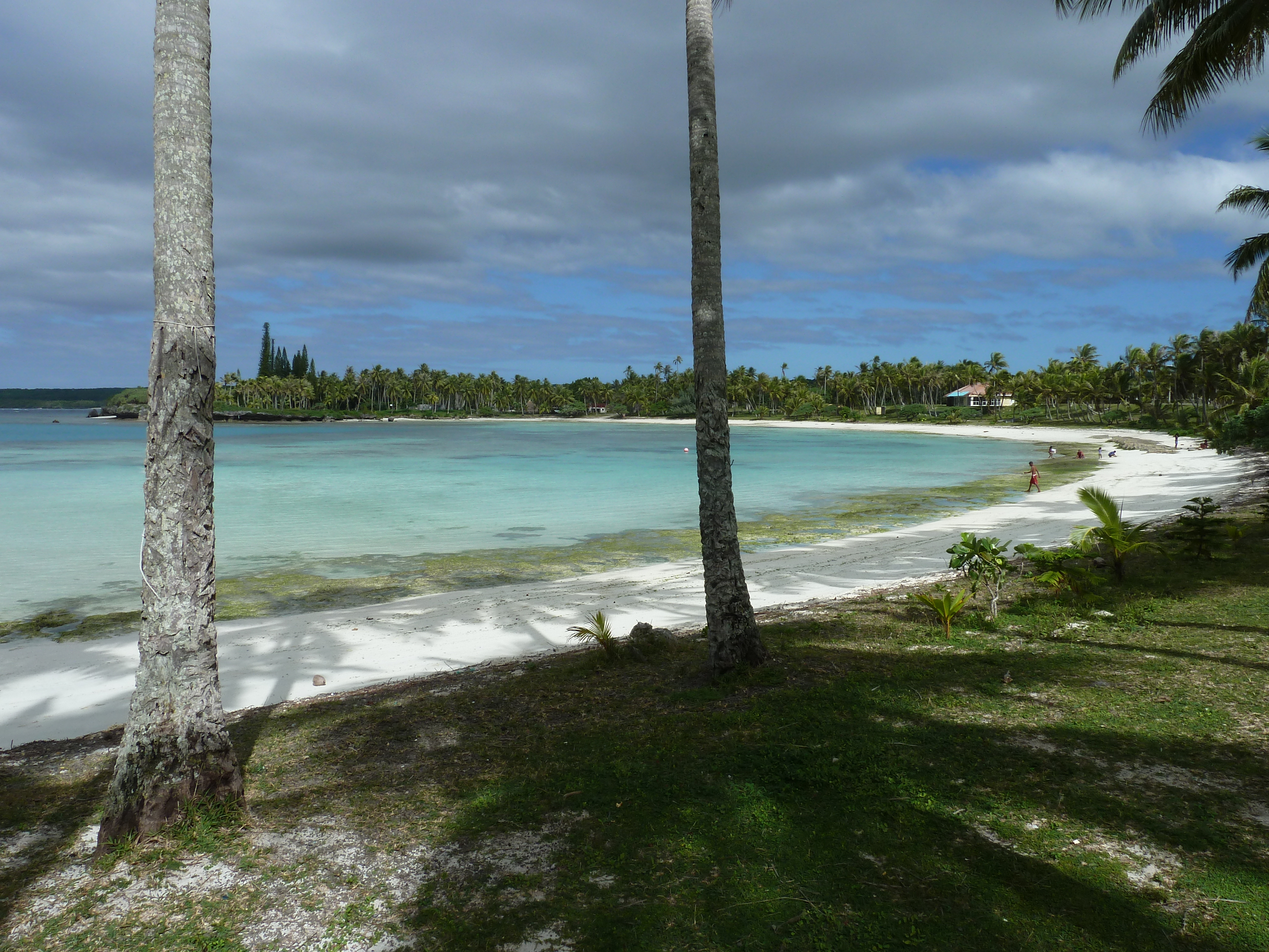 Picture New Caledonia Lifou Baie des tortues 2010-05 33 - Center Baie des tortues