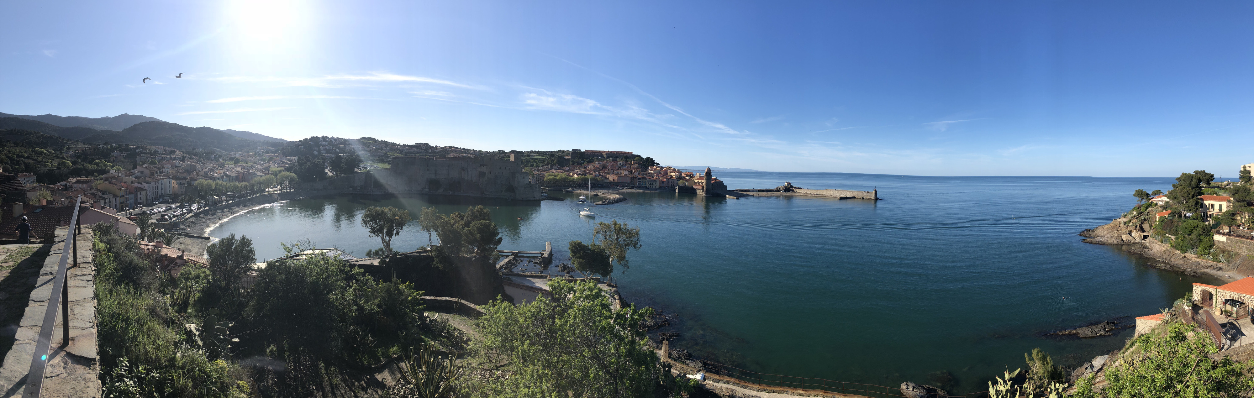 Picture France Collioure 2018-04 252 - Journey Collioure