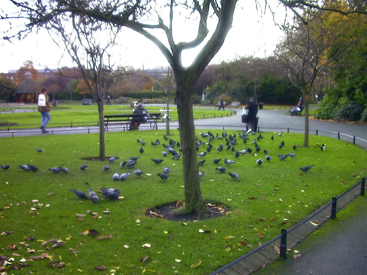 Picture Ireland Dublin 2000-11 3 - Discovery Dublin