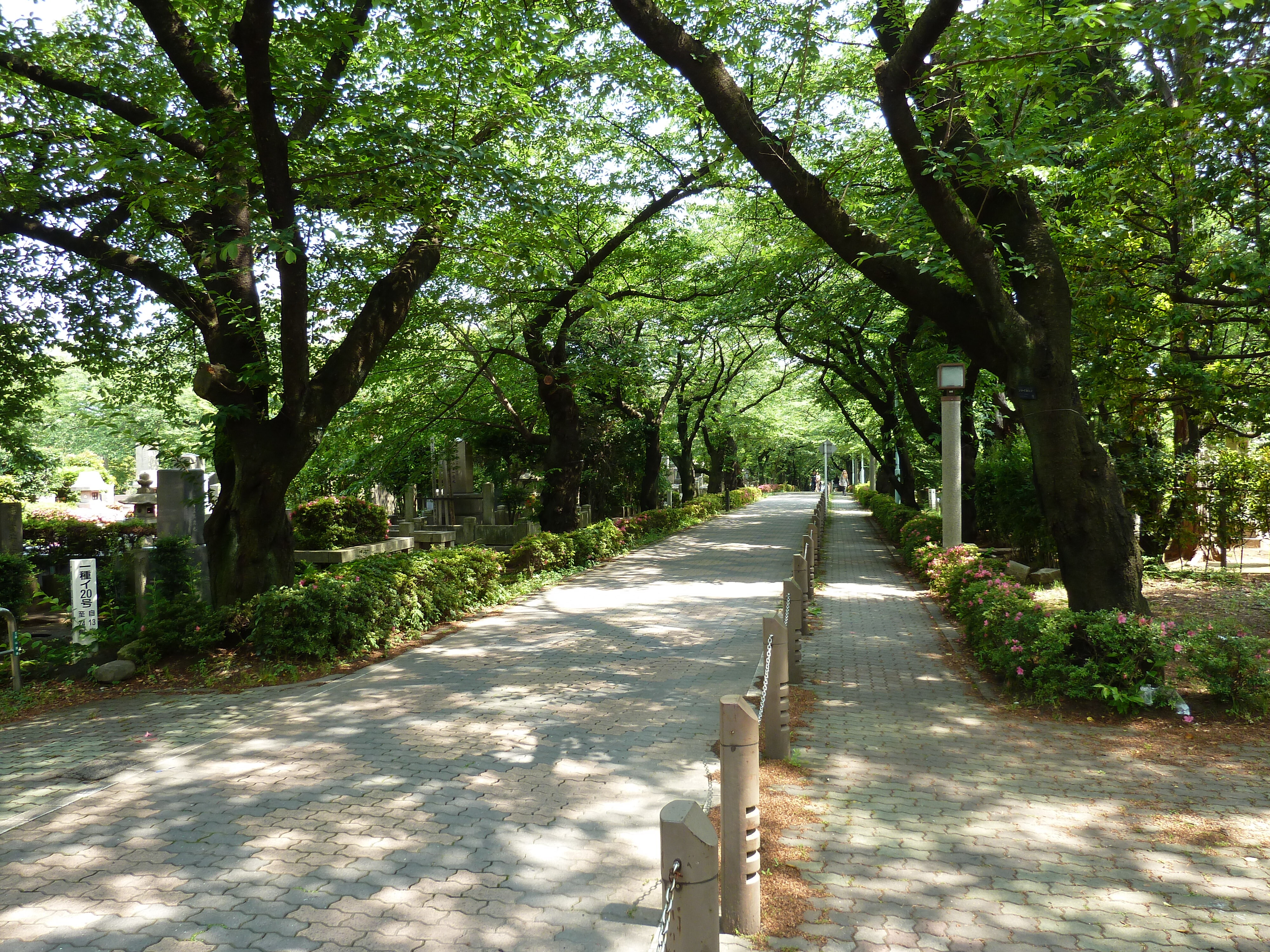 Picture Japan Tokyo Omotesando 2010-06 54 - Journey Omotesando