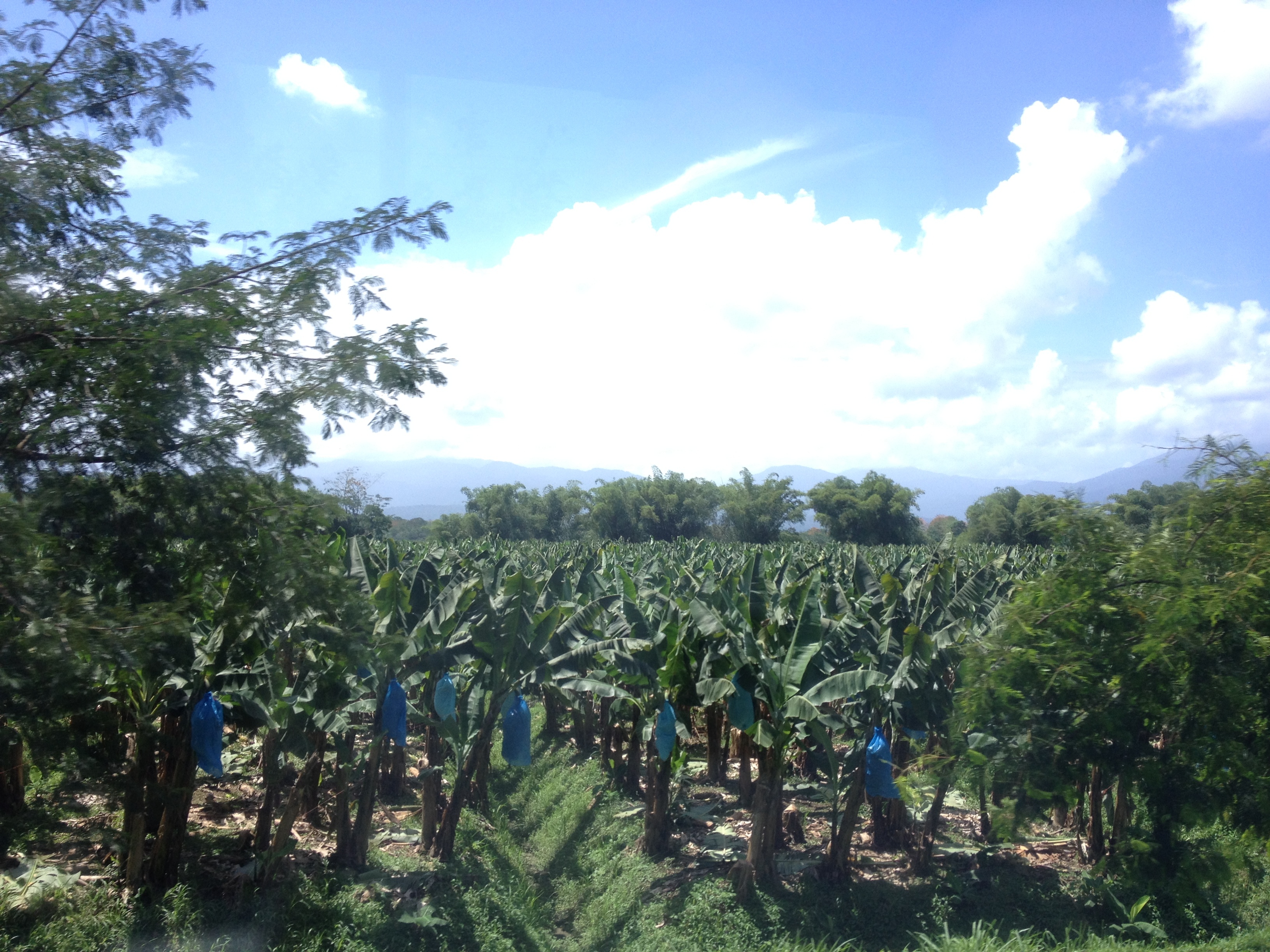 Picture Costa Rica Limon to Siquirres 2015-03 23 - Journey Limon to Siquirres