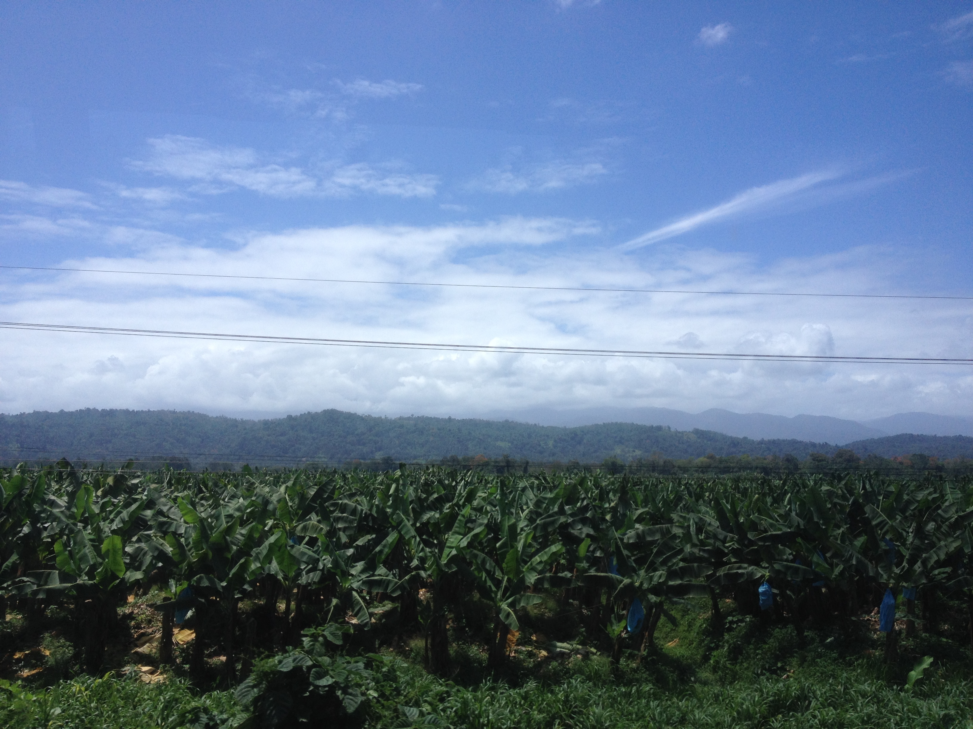 Picture Costa Rica Limon to Siquirres 2015-03 24 - Tours Limon to Siquirres