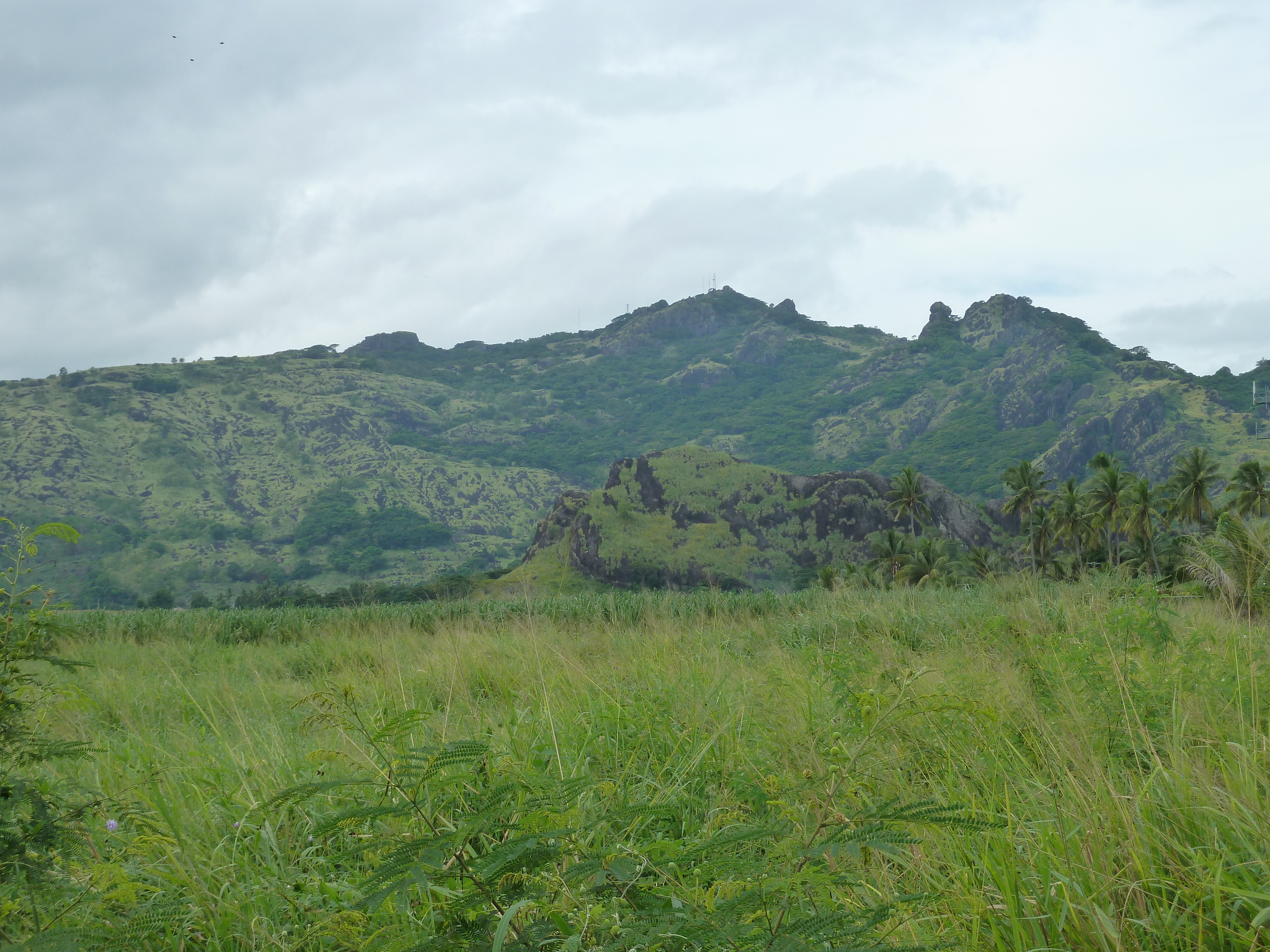 Picture Fiji Nadi to Lautoka road 2010-05 8 - Tour Nadi to Lautoka road