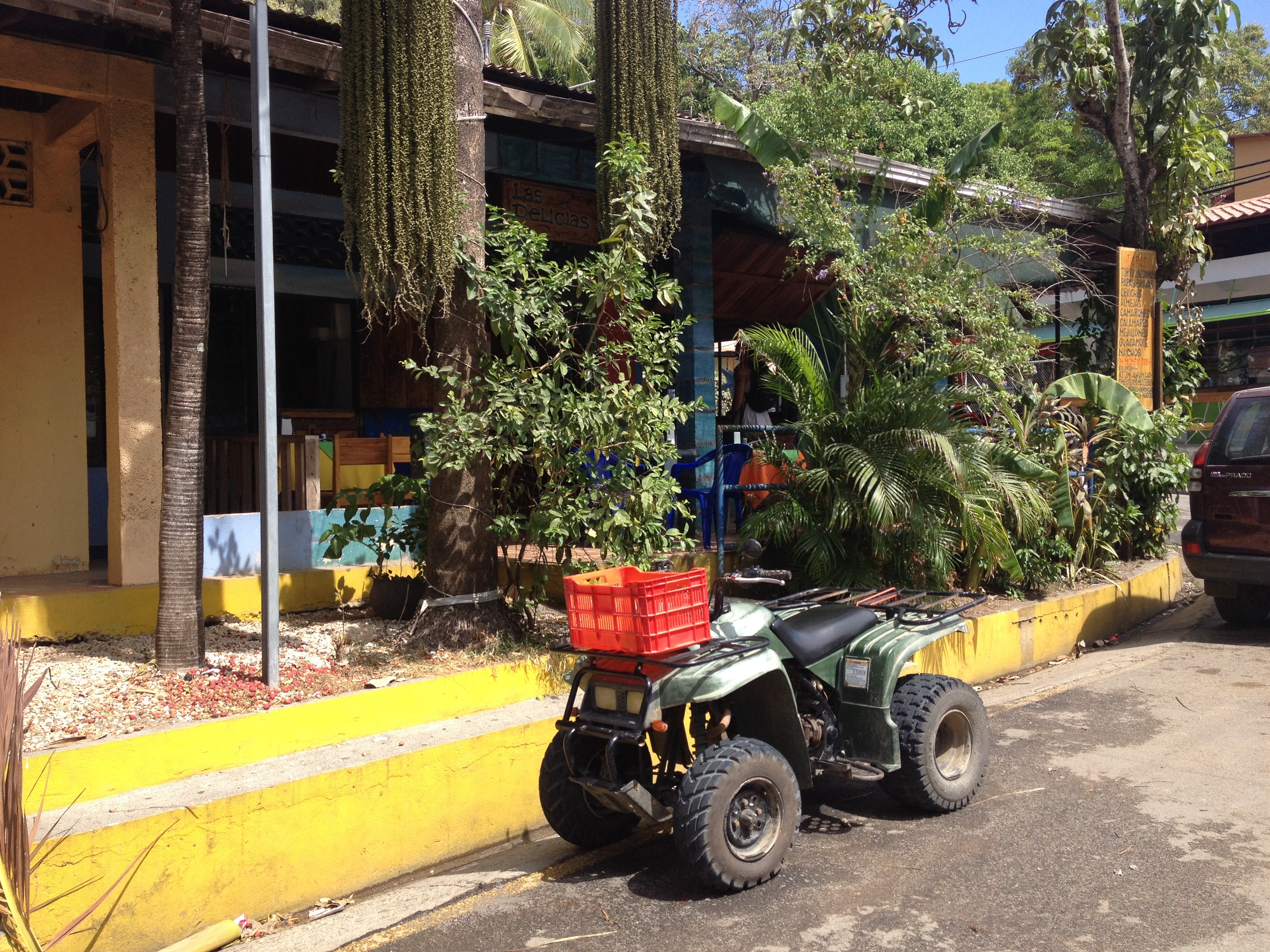 Picture Costa Rica Montezuma 2015-03 224 - Discovery Montezuma