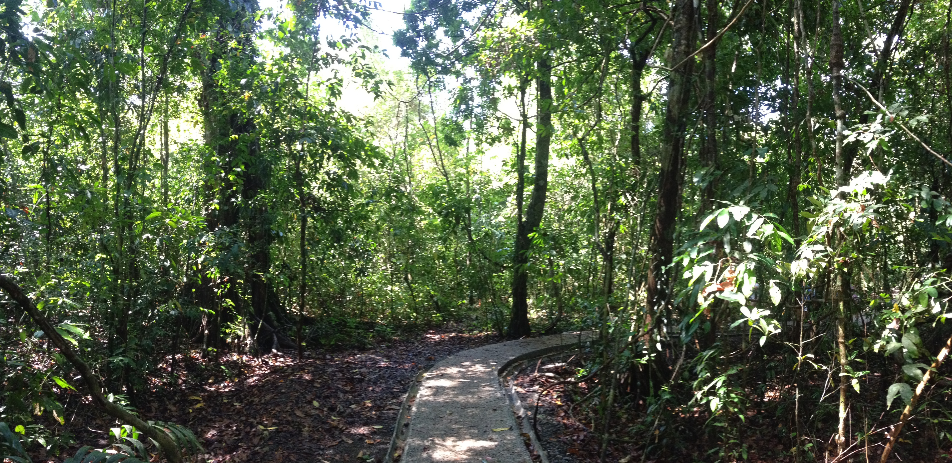 Picture Costa Rica Manuel Antonio 2015-03 82 - Center Manuel Antonio