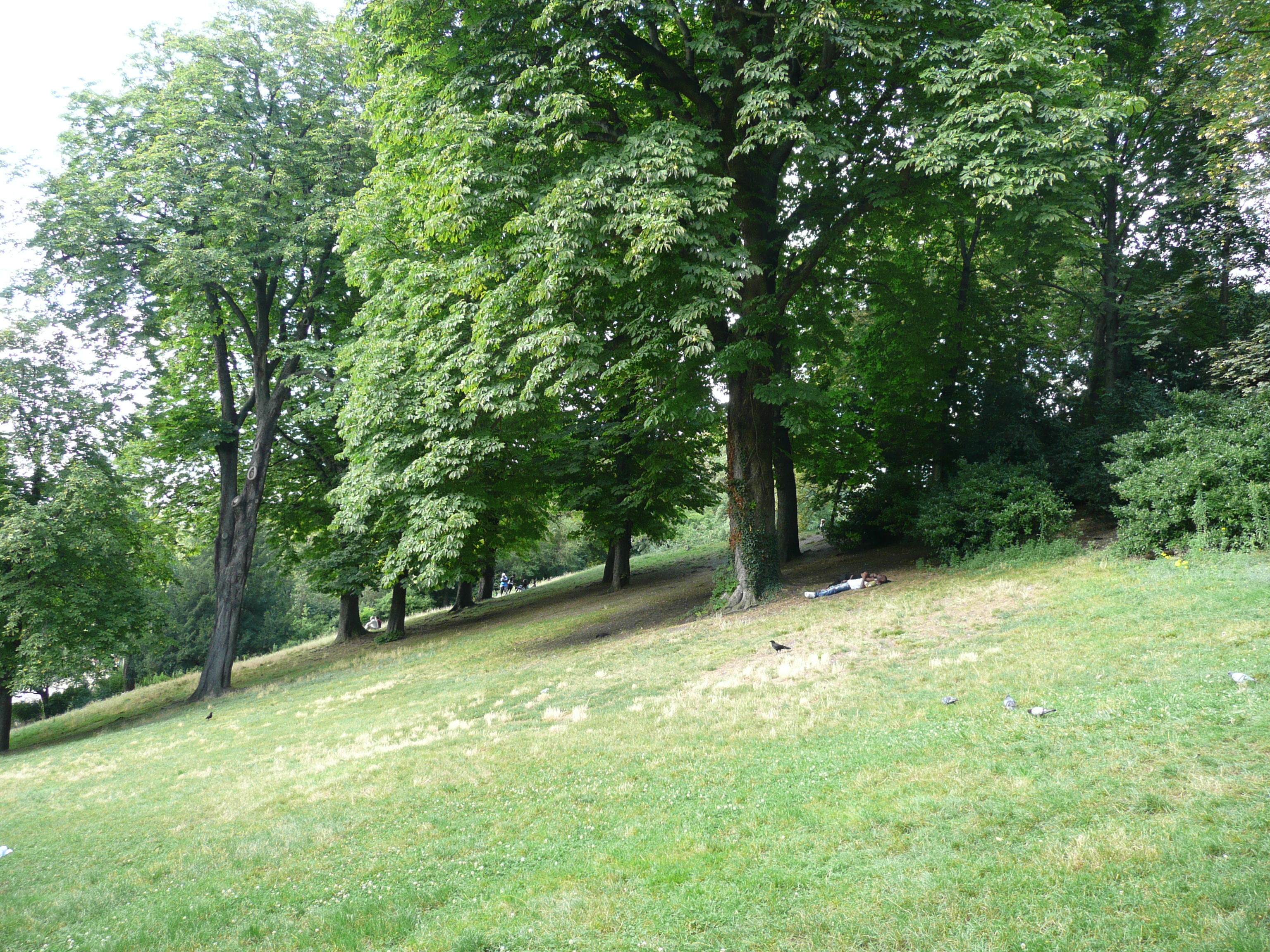 Picture France Paris Parc des Butes Chaumont 2007-08 38 - Center Parc des Butes Chaumont