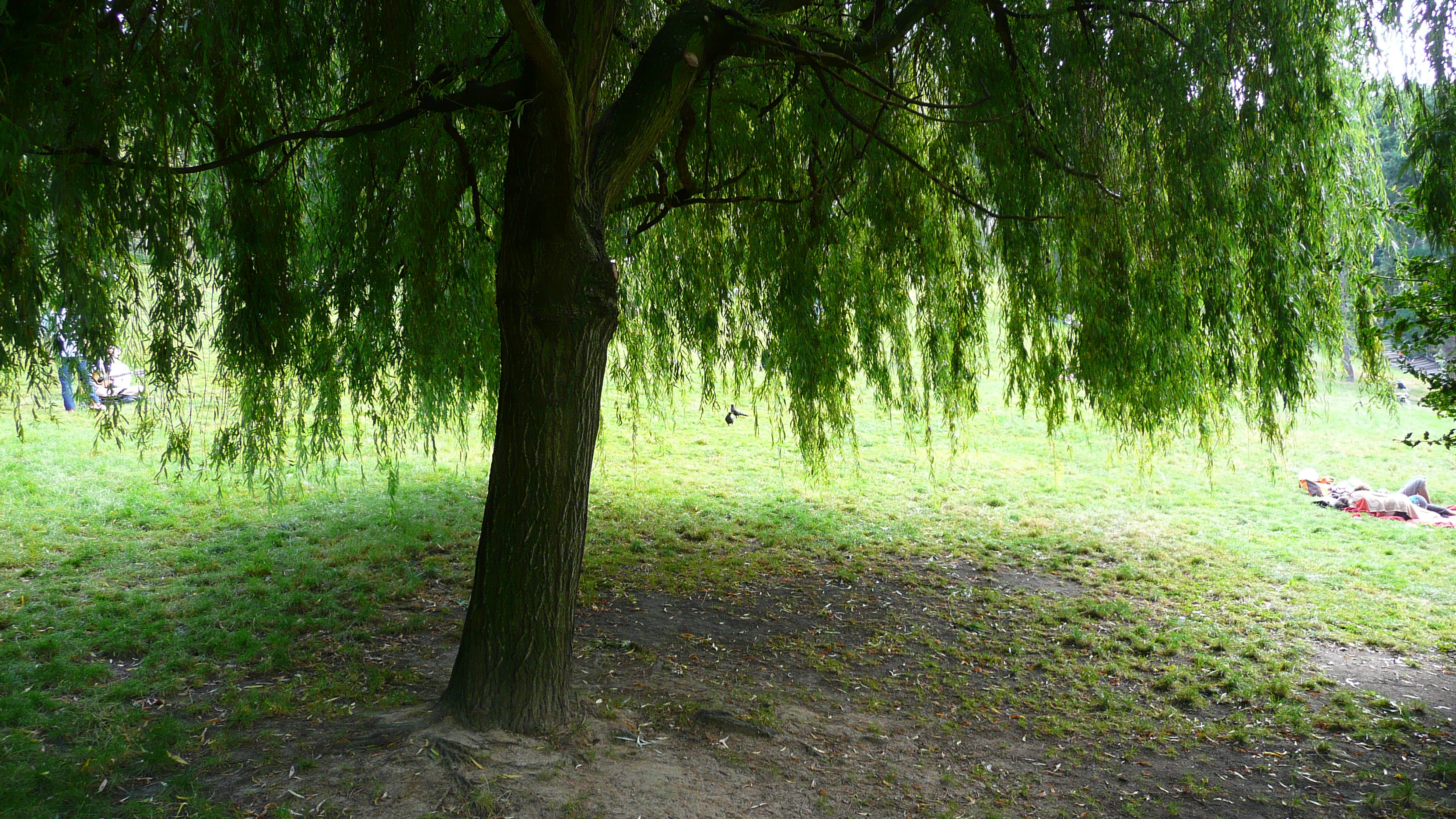 Picture France Paris Parc des Butes Chaumont 2007-08 25 - History Parc des Butes Chaumont