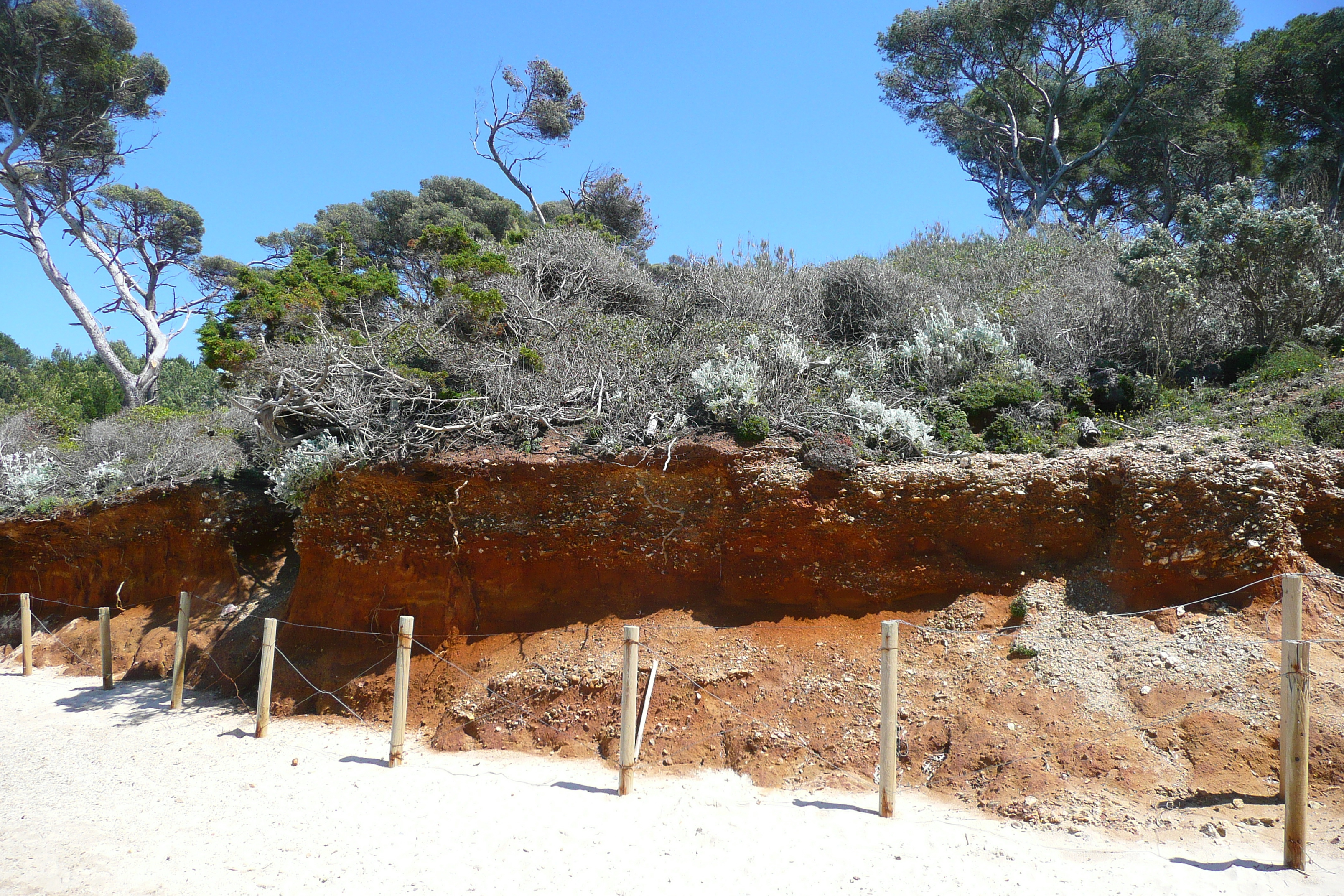 Picture France Porquerolles Island Courtade beach 2008-05 60 - History Courtade beach