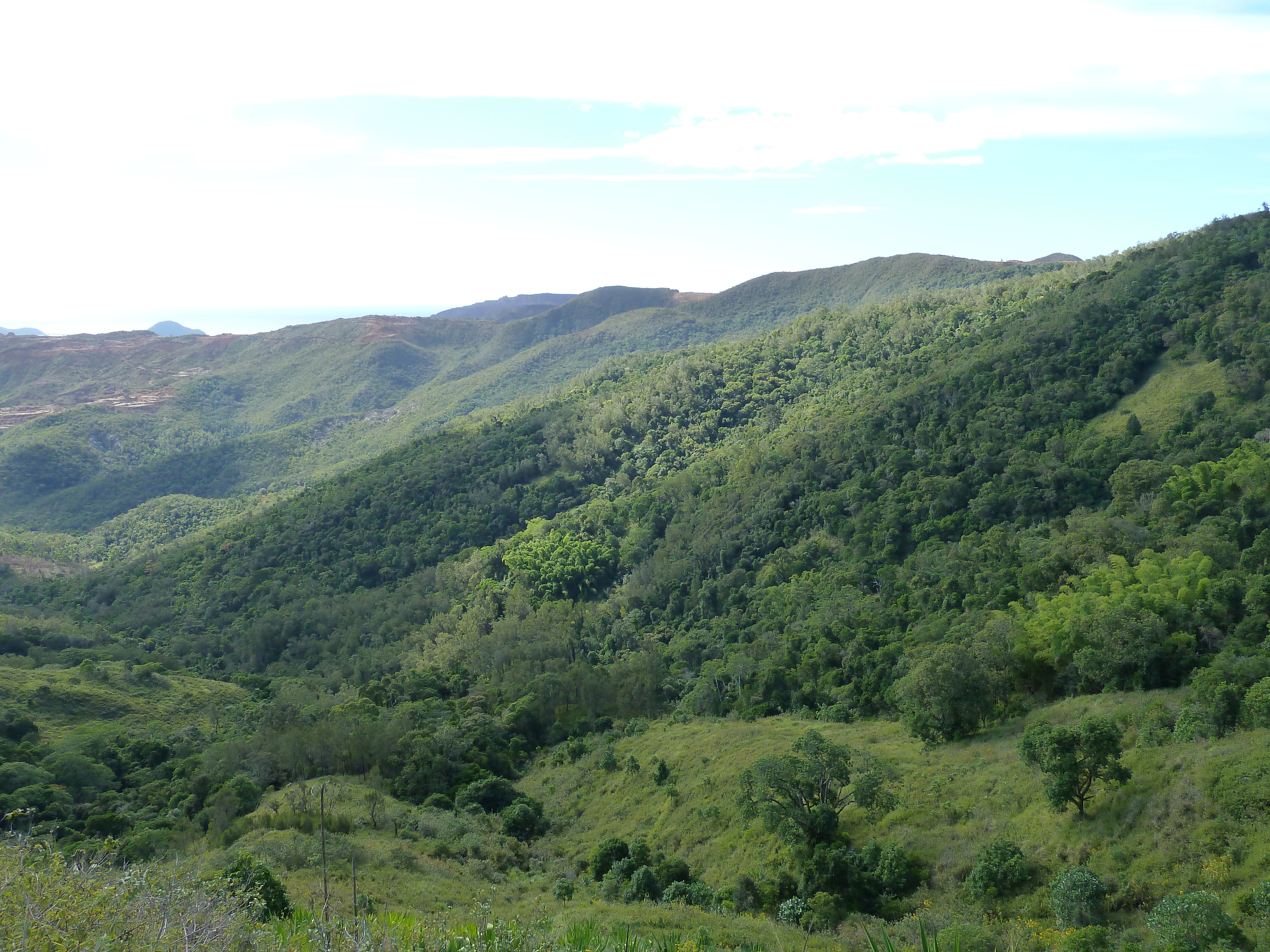 Picture New Caledonia Thio to Canala road 2010-05 61 - Discovery Thio to Canala road