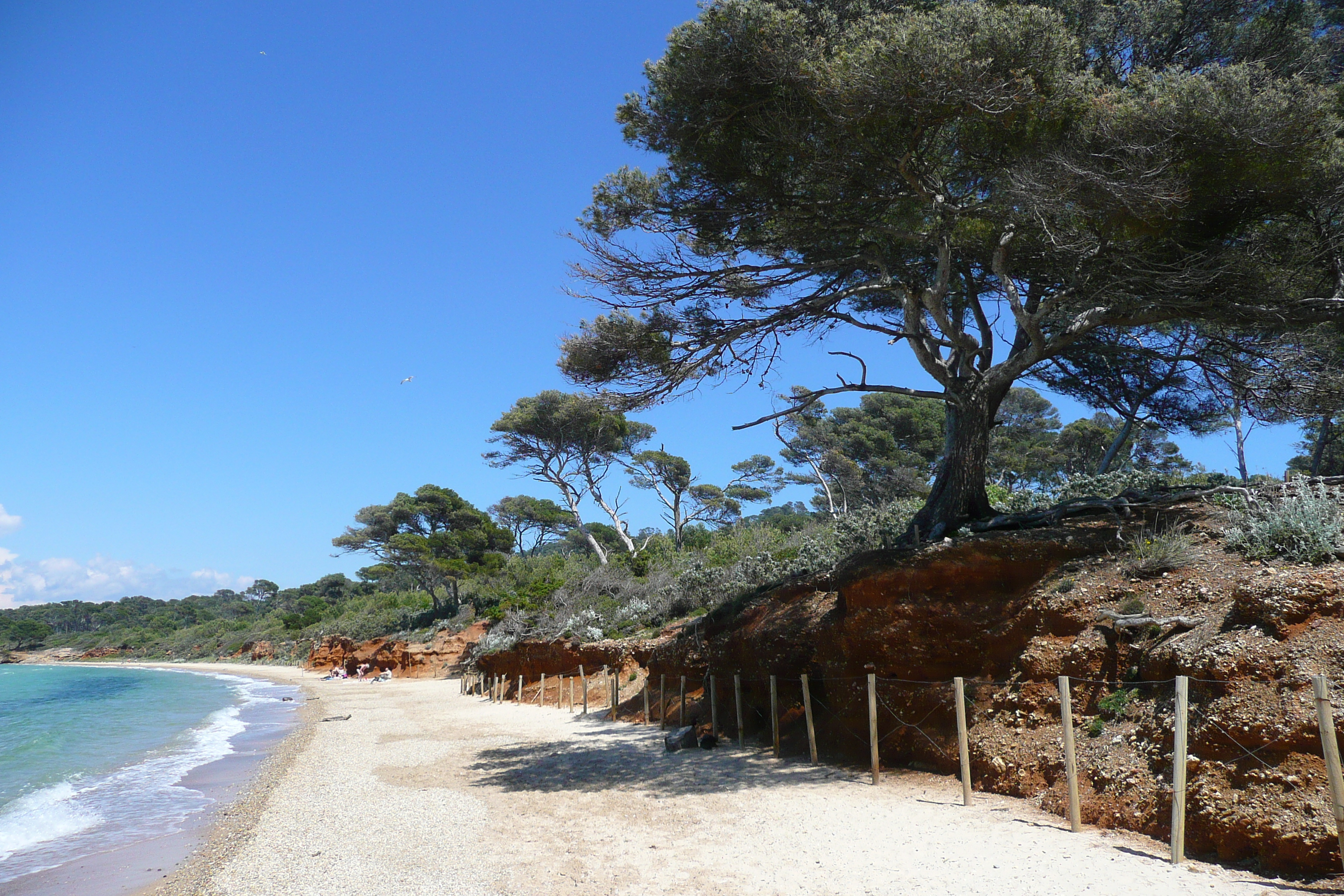 Picture France Porquerolles Island Courtade beach 2008-05 71 - Tours Courtade beach