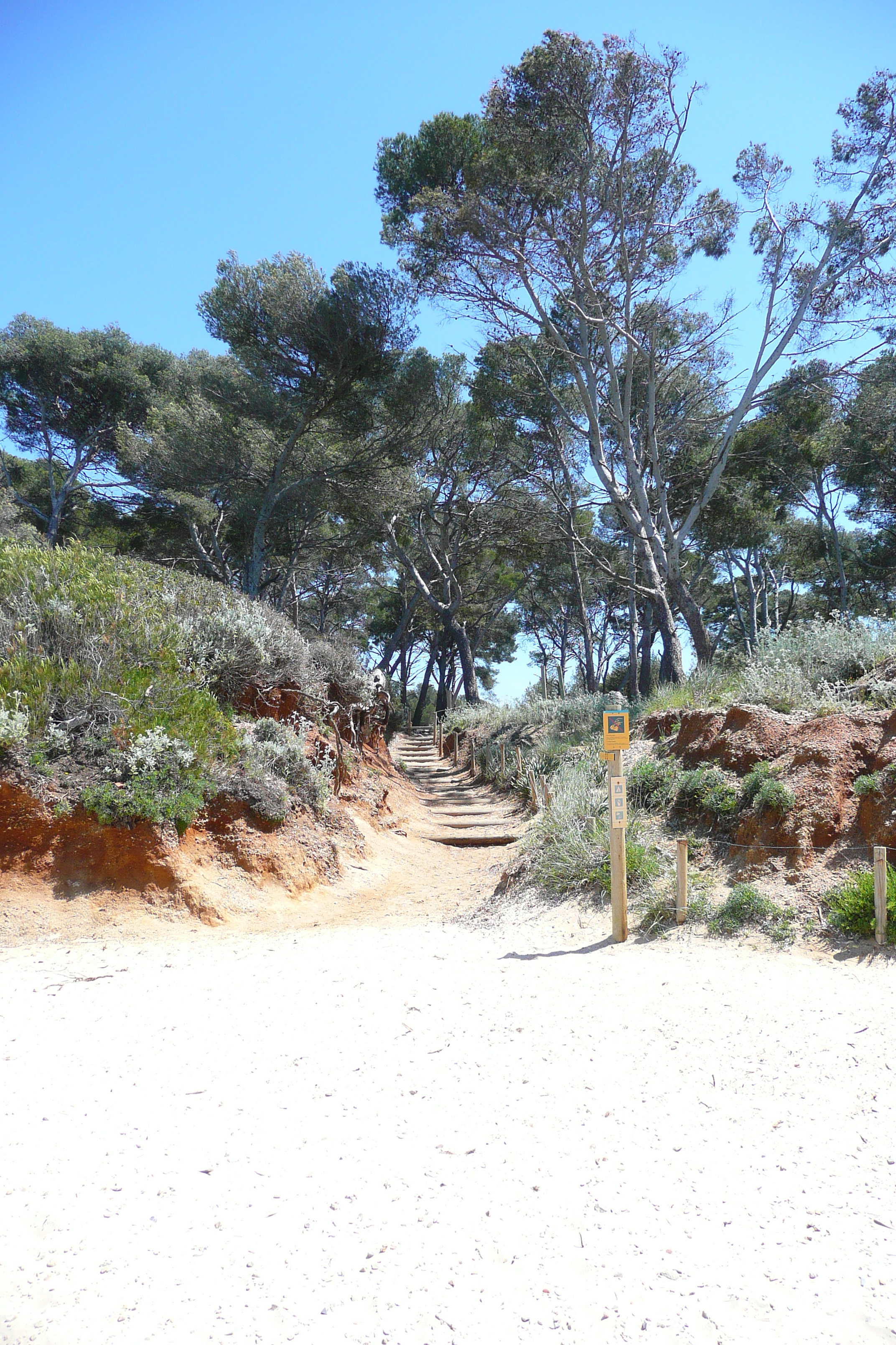 Picture France Porquerolles Island Courtade beach 2008-05 54 - Tour Courtade beach